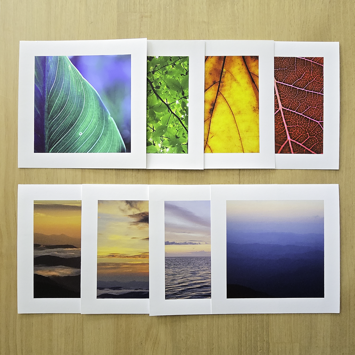 Archival Earthbound fine art prints by Ava Bock, produced on sustainable Hahnemühle paper and showcasing nature-inspired photography with eco-conscious materials.