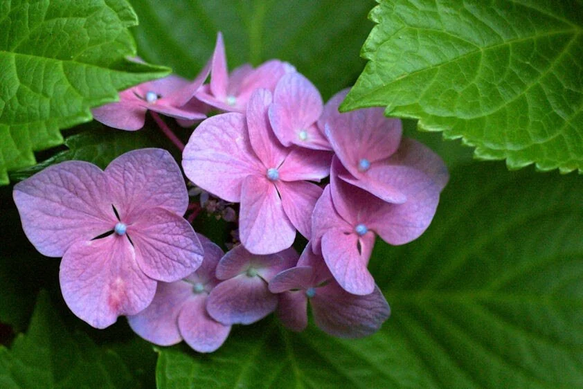 20100626_29 -1 resize1.jpg