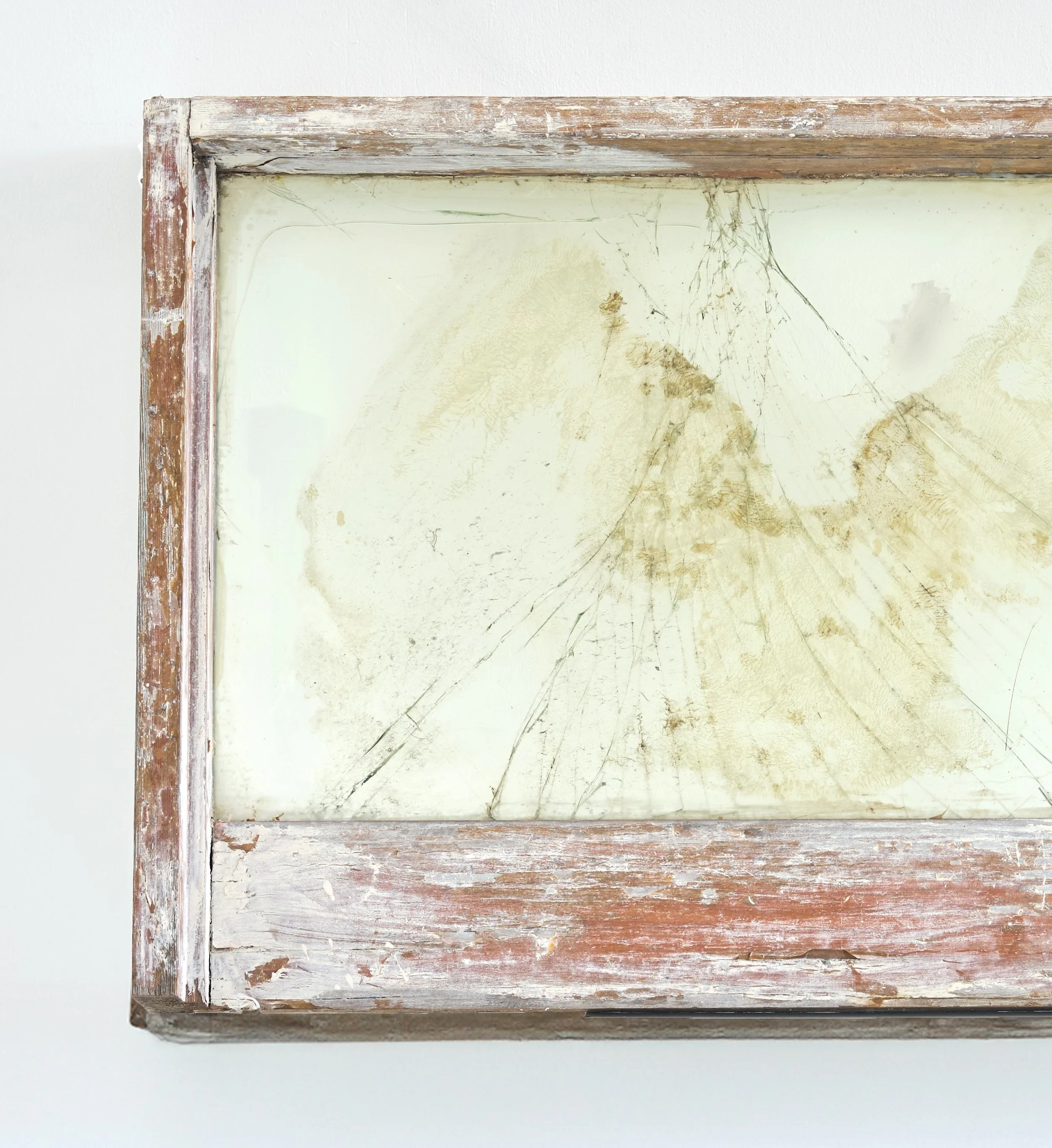 Untitled (Self Portrait)