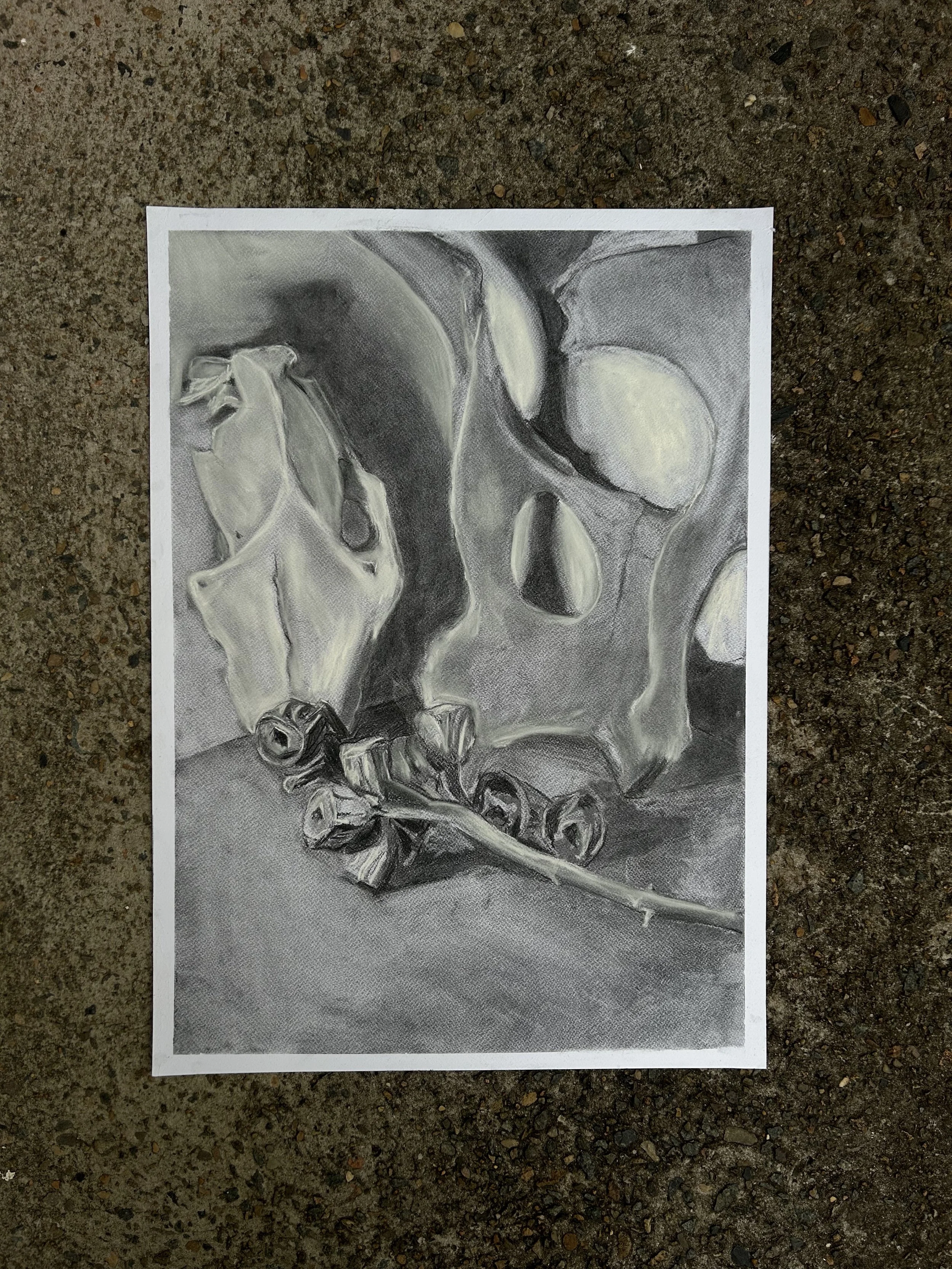 Charcoal on paper
