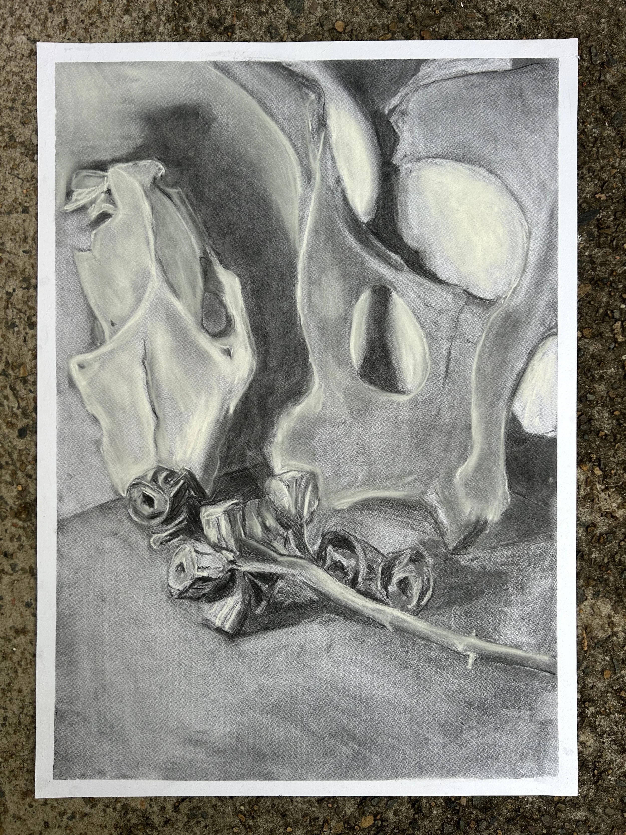 Charcoal on paper
