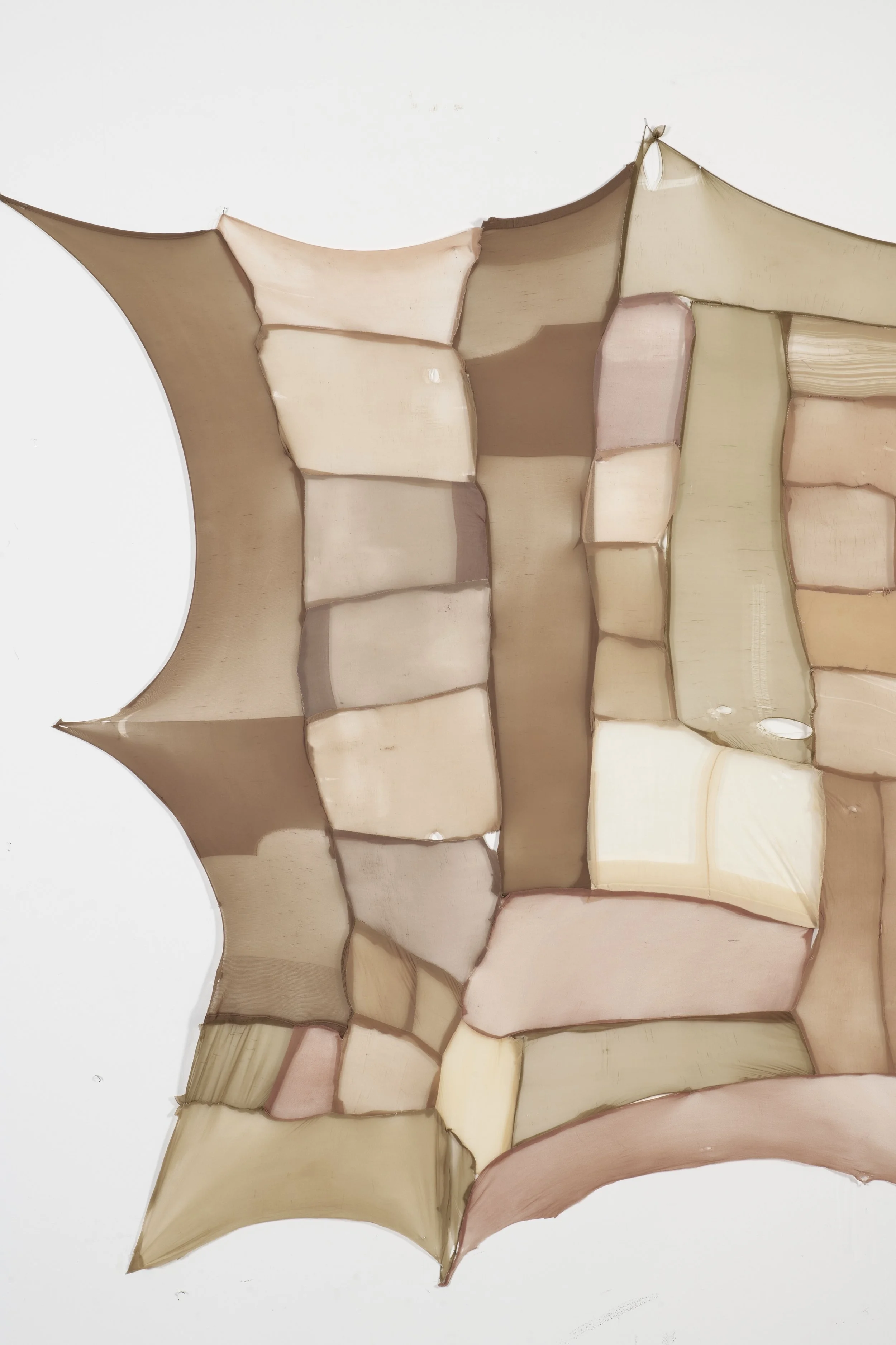 Untitled- 2025 - Pantyhose, thread - 
Varying dimensions