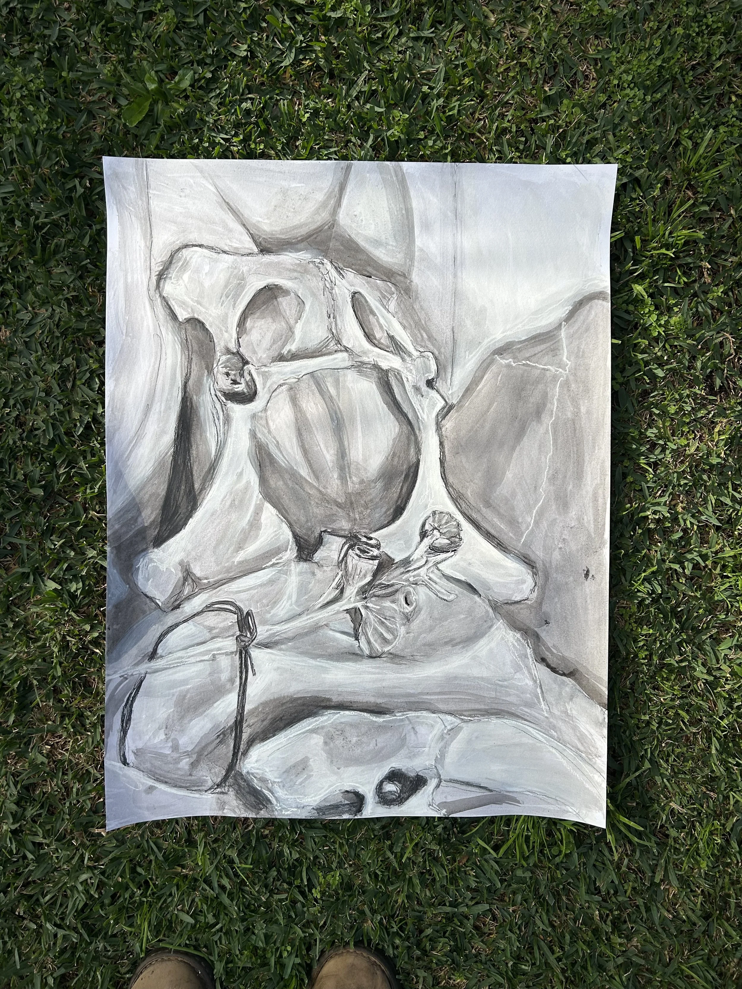 Charcoal and ink on paper