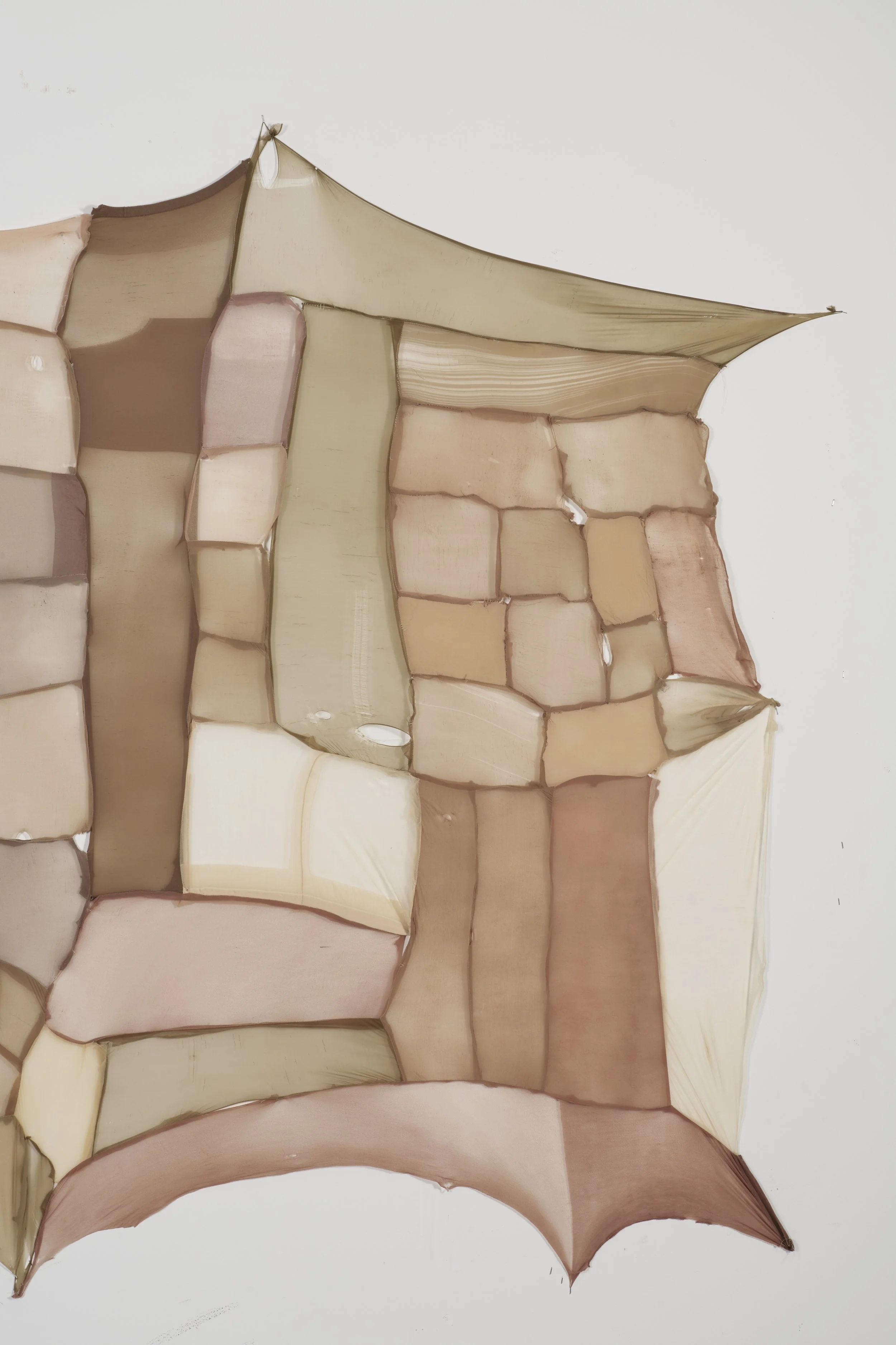 Untitled - 2025 - Pantyhose, thread - 
Varying dimensions