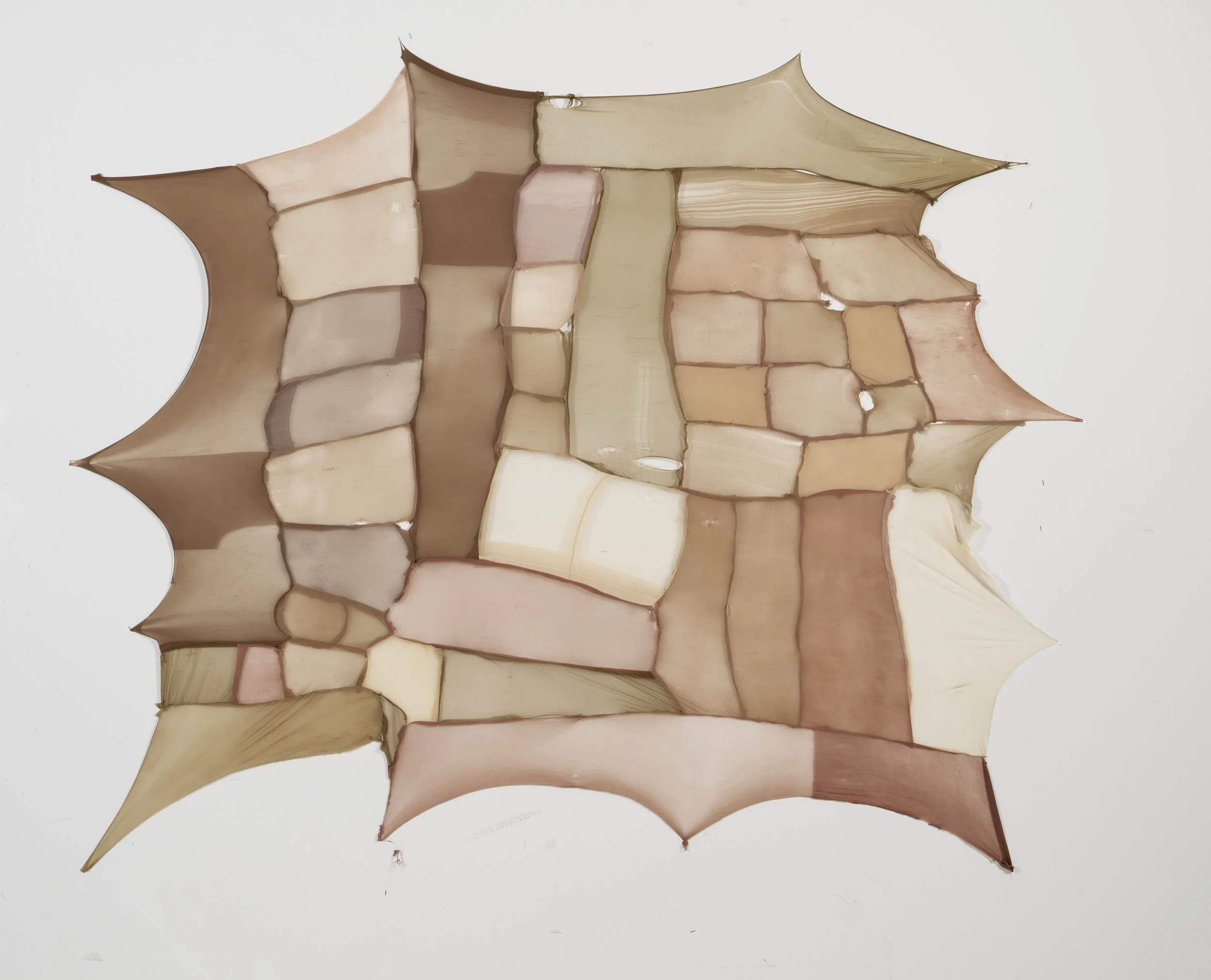 Untitled - 2025 - Pantyhose, thread - 
Varying dimensions
