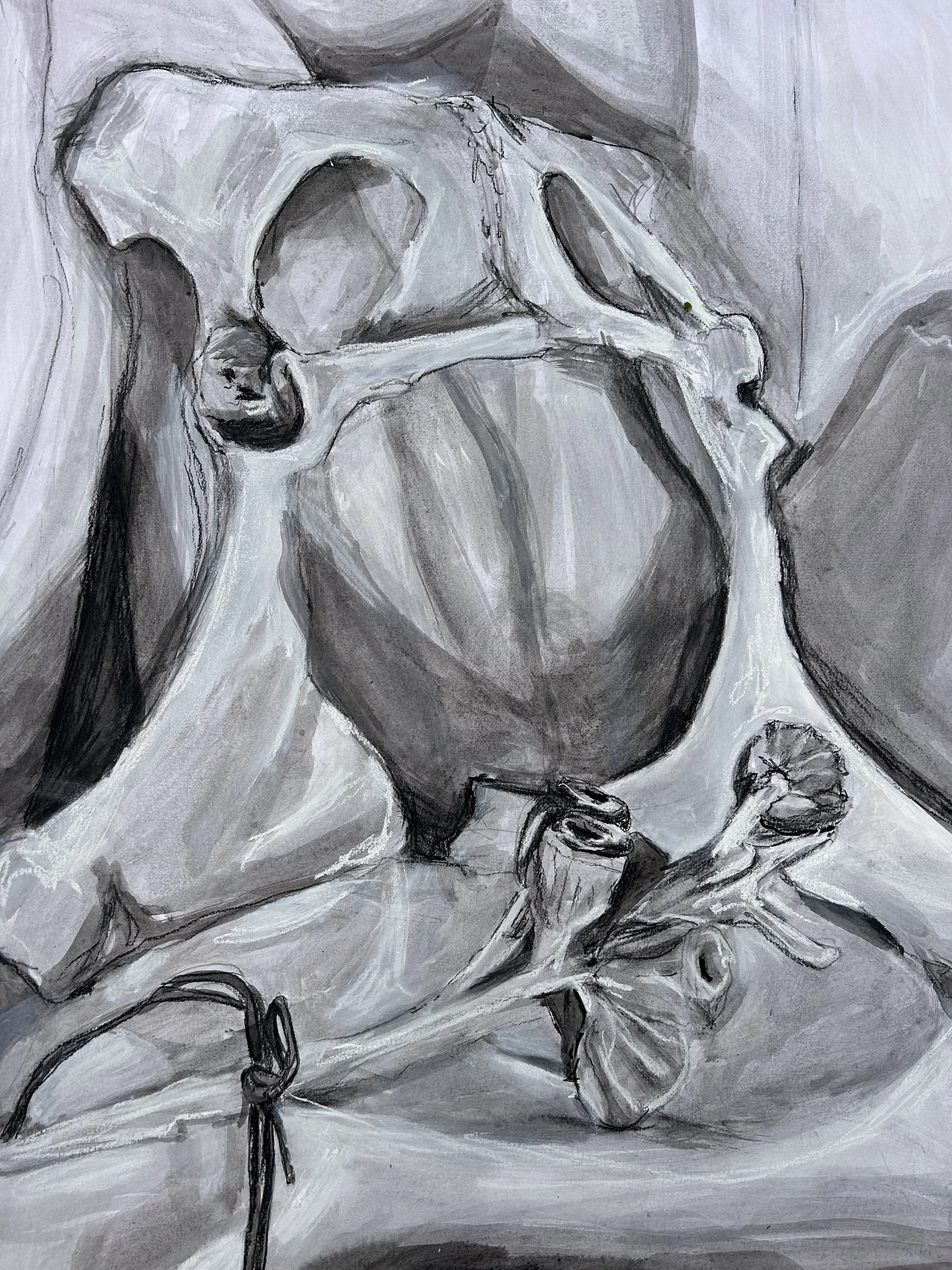 Charcoal and ink on paper