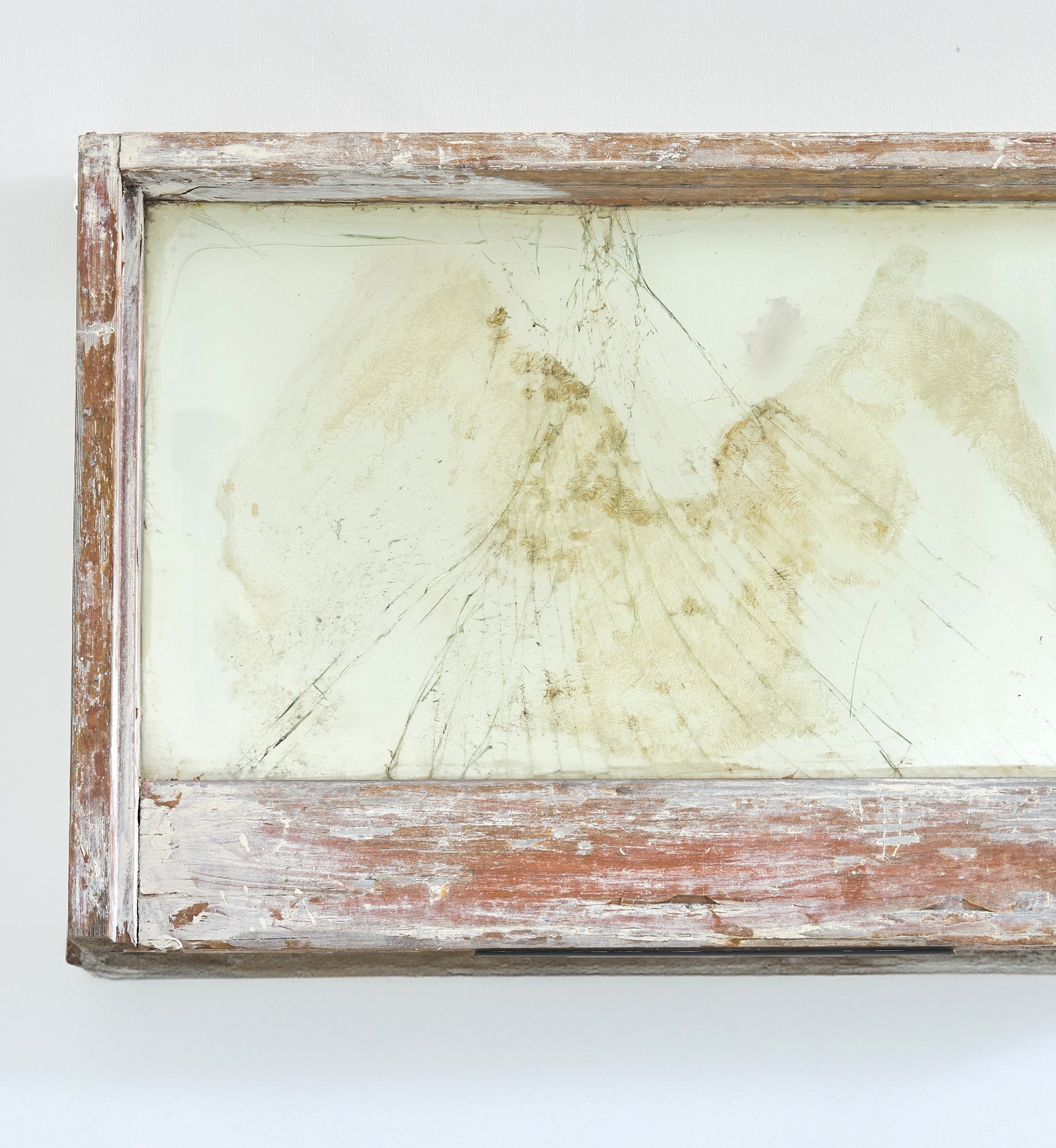 Untitled (Self Portrait)
