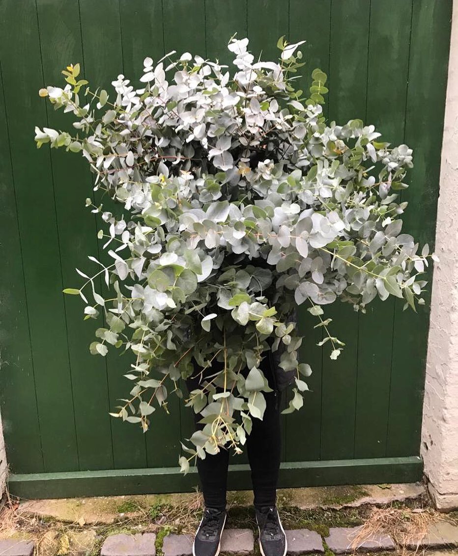 💚This amount of eucalyptus can only mean one thing.......... MOTHERS DAYS A COMING!!! Get your orders in now for all the lovely mums and mother figures out there. A worldwide pandemic is one thing......home schooling quite another. They deserve it! 