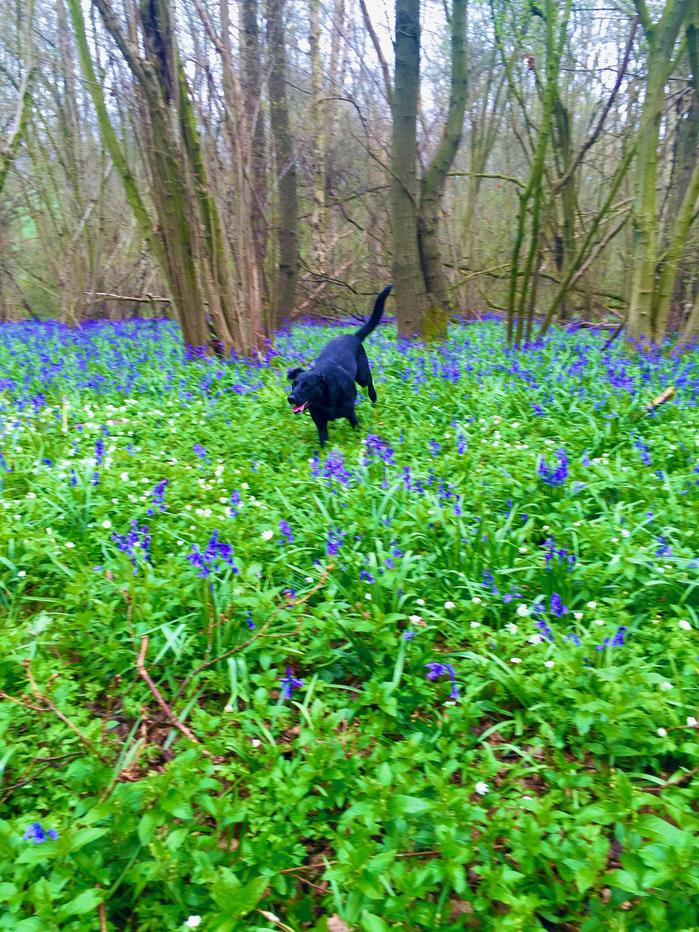 Search - 1 of 1 (2).jpeg