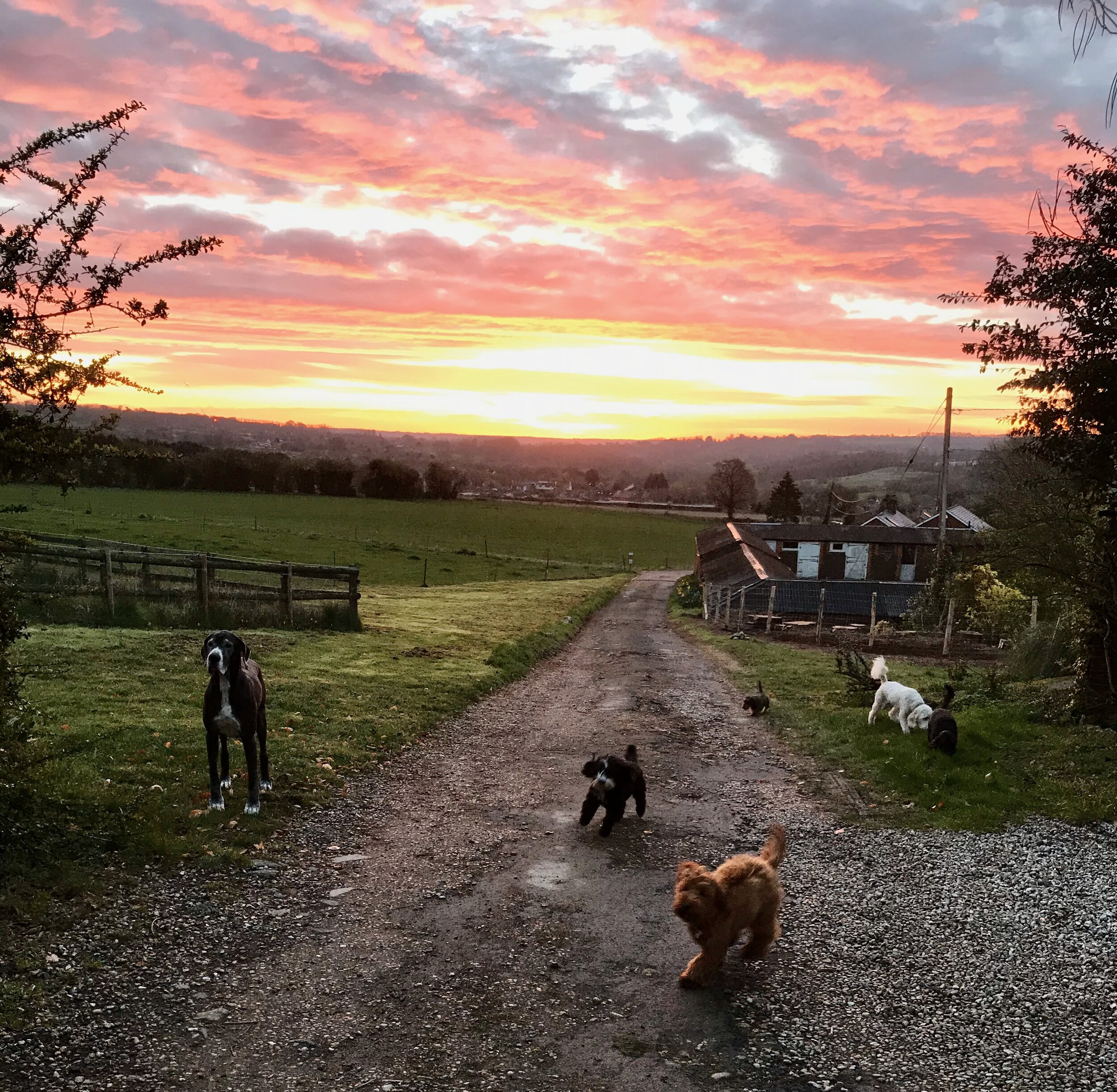 Search - 1 of 1 (8).jpeg