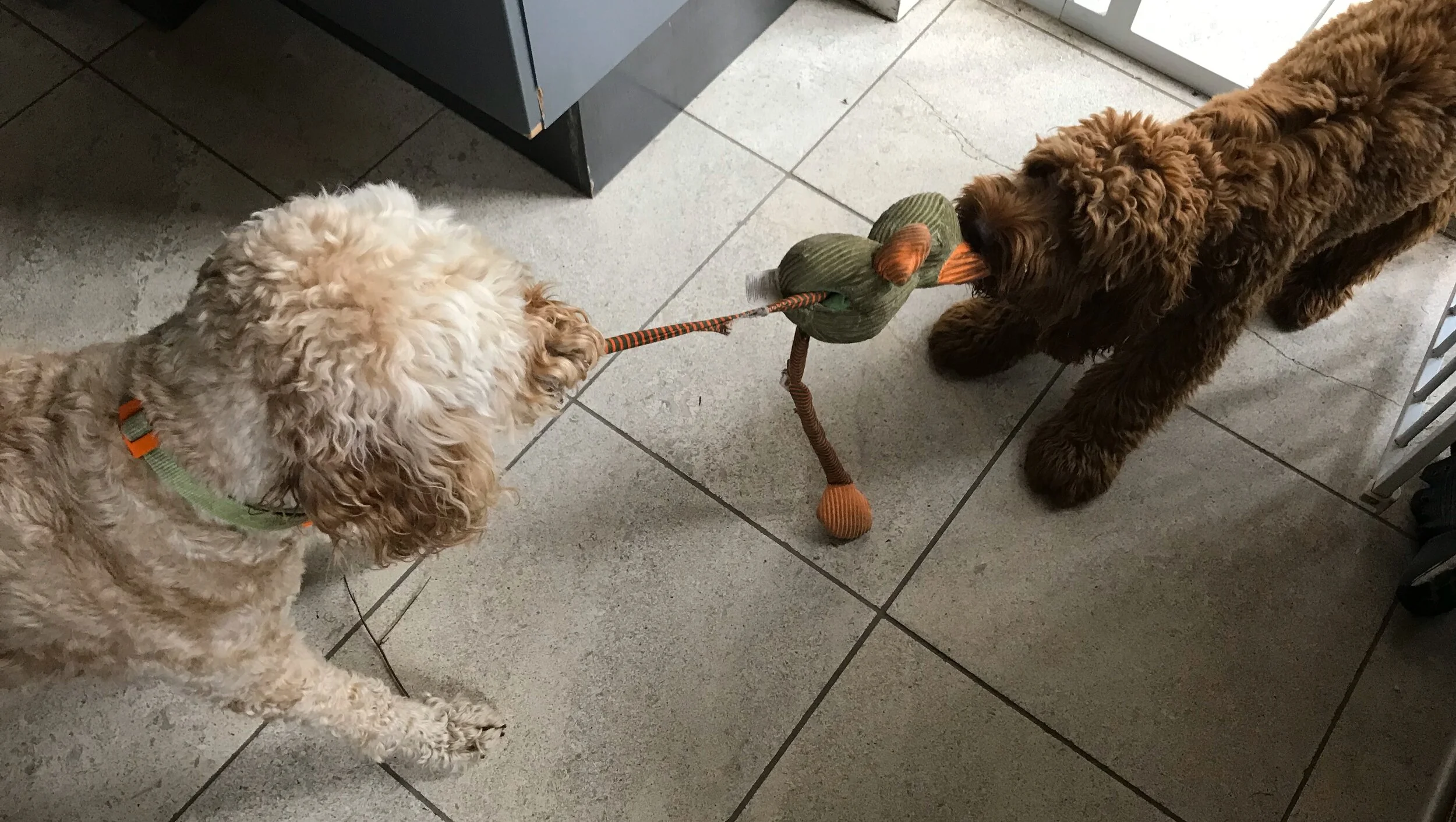 Search - 1 of 1 (15).jpeg