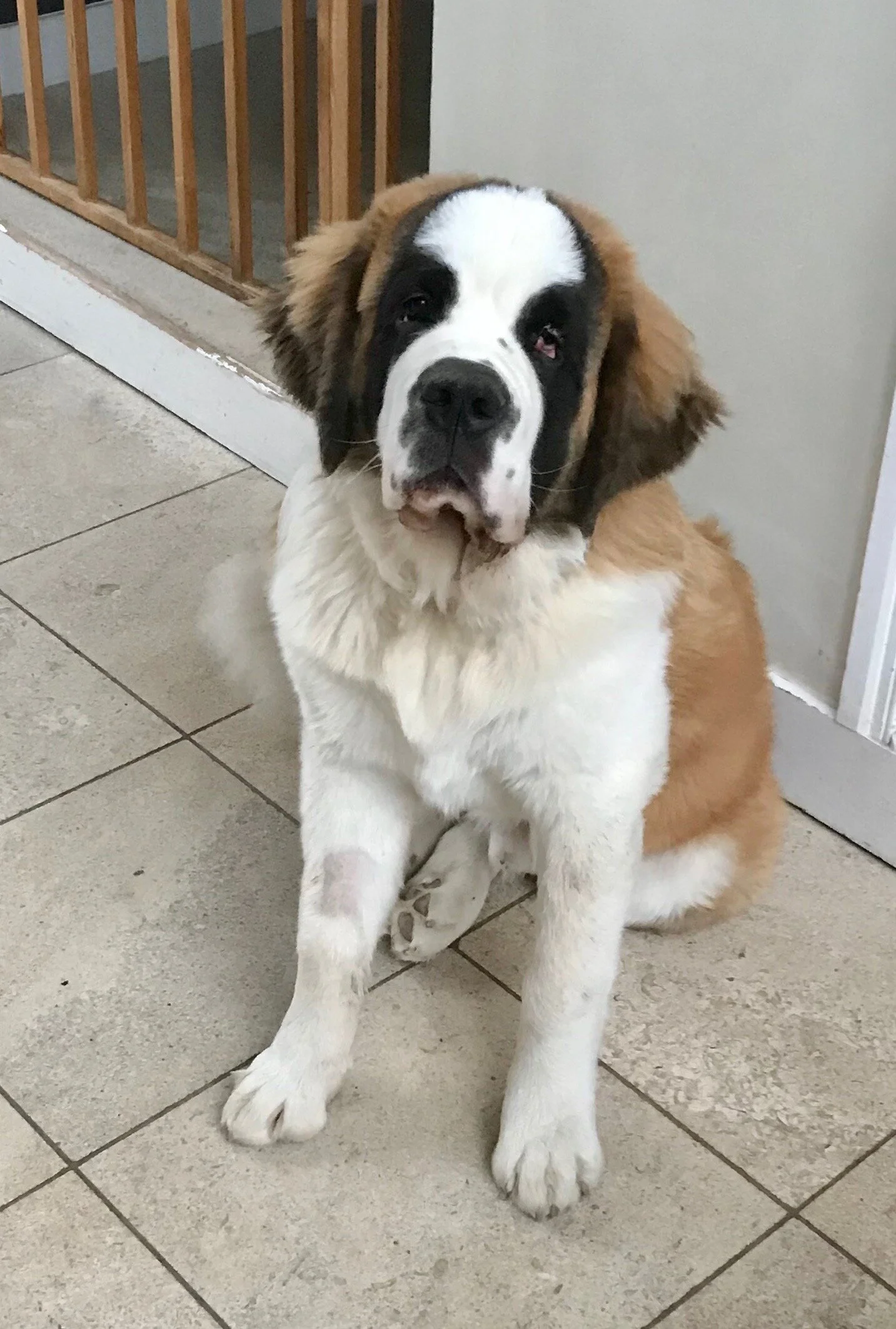 Search - 1 of 1 (16).jpeg