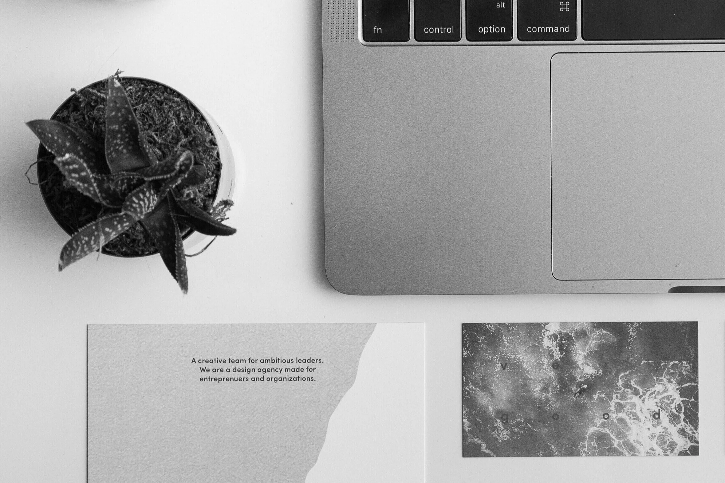 A potted succulent plant on a white surface, a laptop keyboard on the top right, and two printed pages with text and images on the bottom.