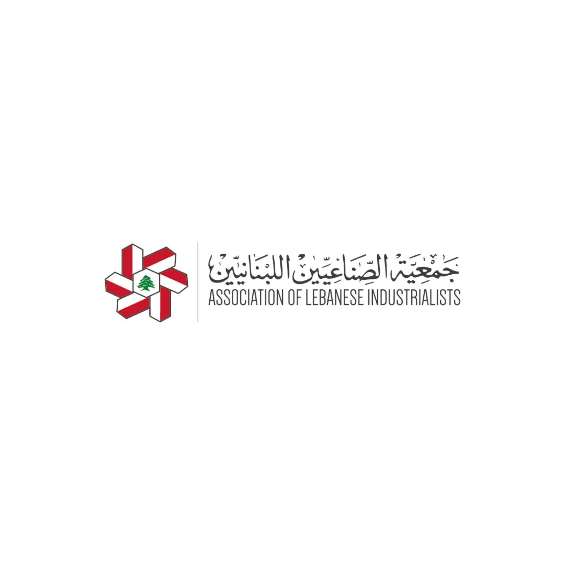 ASSOCIATION OF LEBANESE INDUSTRIALISTS - Blackink / Strategic Branding Agency