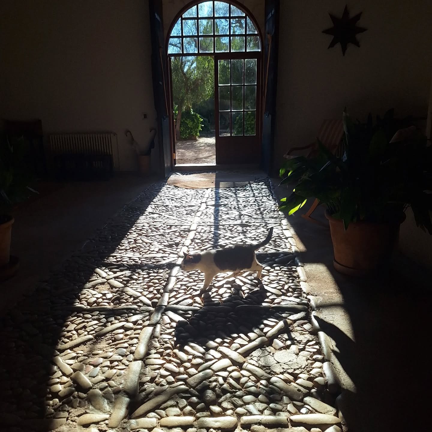 Winter wine excursion to Mallorca's heartland with a fun Canadian family. 🐈 and 🐓 welcome!
@olivermoragues @fincabiniagual 

#mallorcanwines #wineescape #mallorcawinter  #mallorca2025 #wintertourism