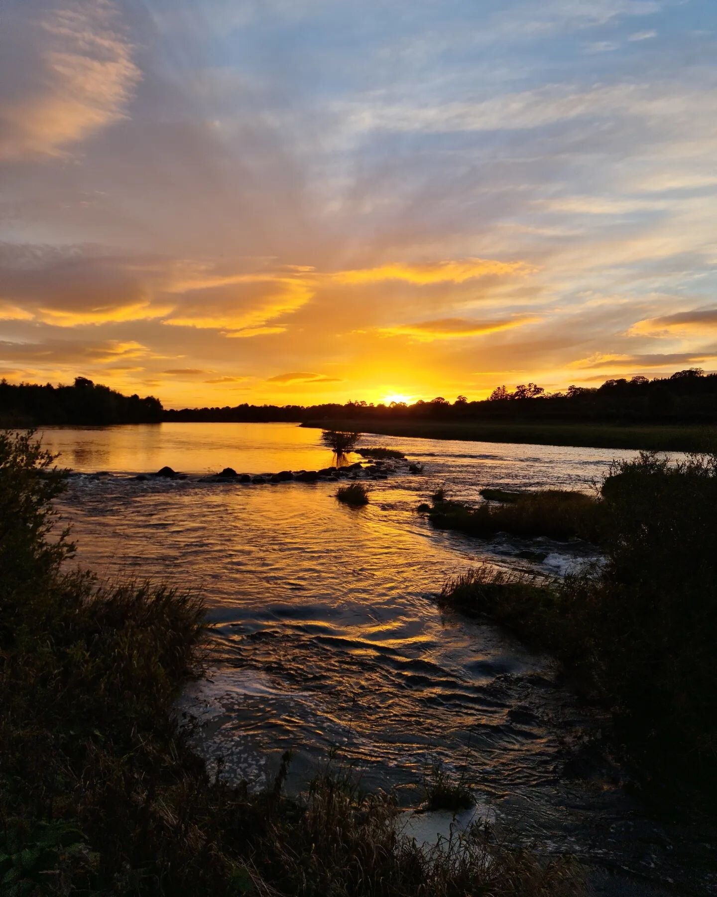 What a lucky bunch we are to live, work and play somewhere like this. 🧡

#scottishborders #rivertweed #scotland