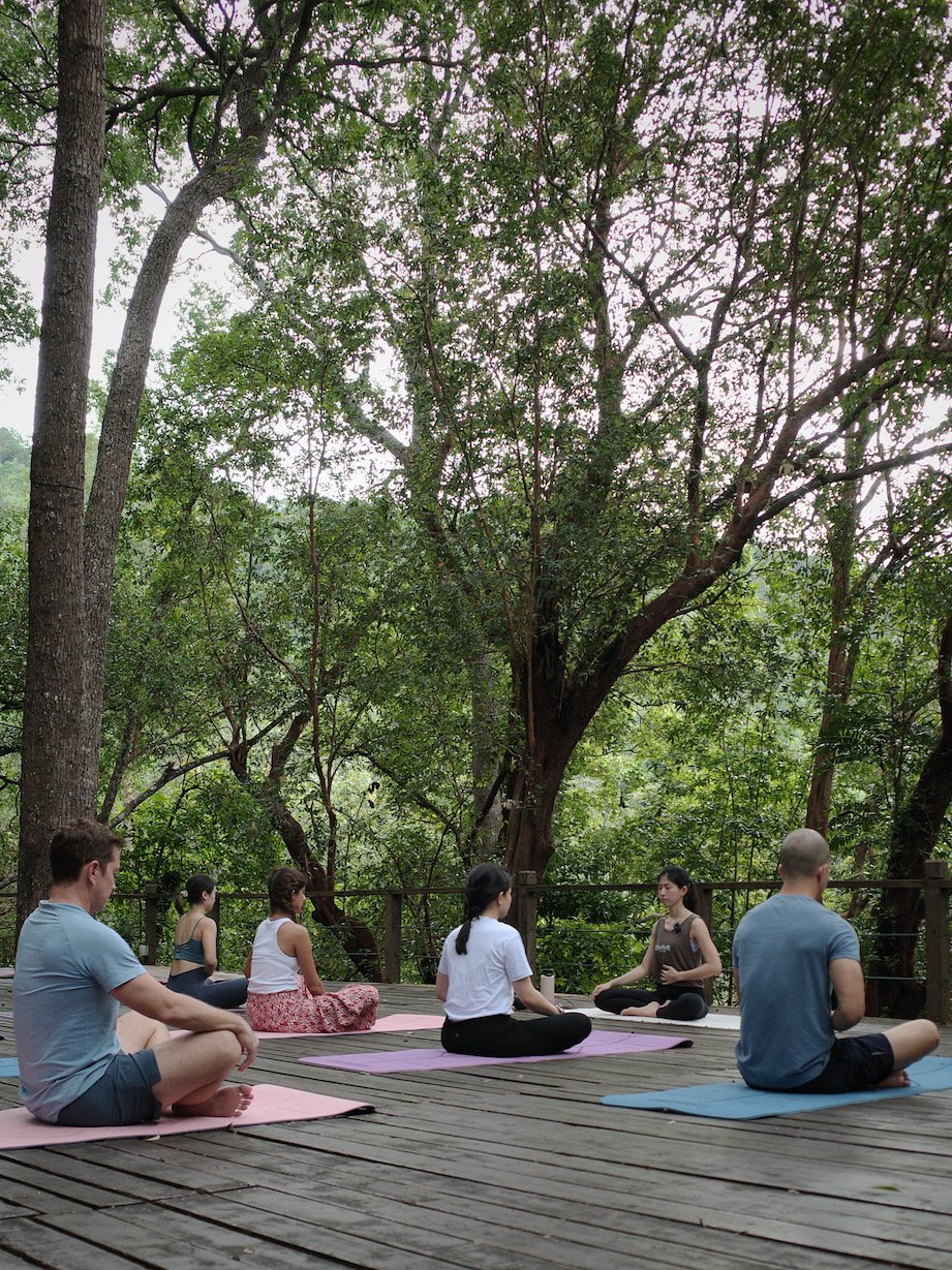 Yoga In Nature