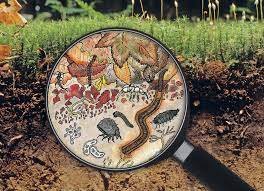 Sounding Soil.jpeg