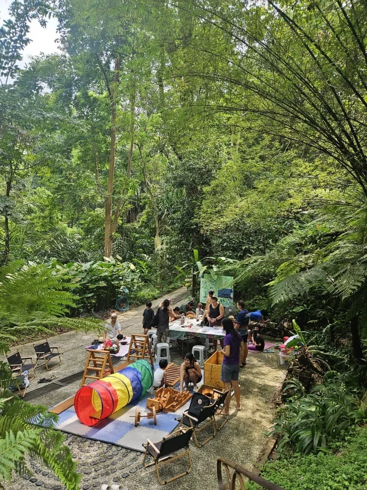 Nature Den Sundays & Community Gardening