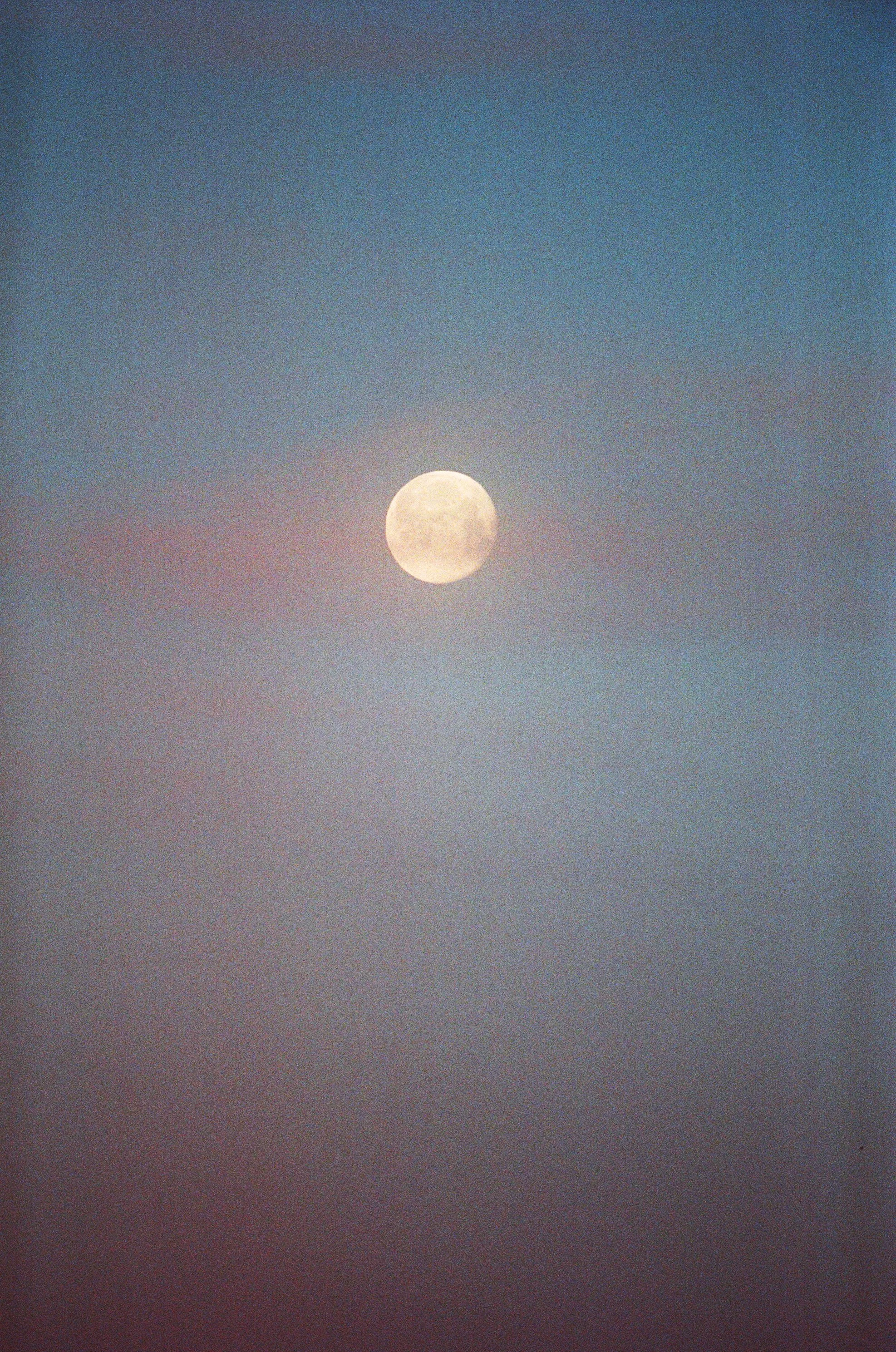 2021_04_full_moon_rosé_V2.jpg