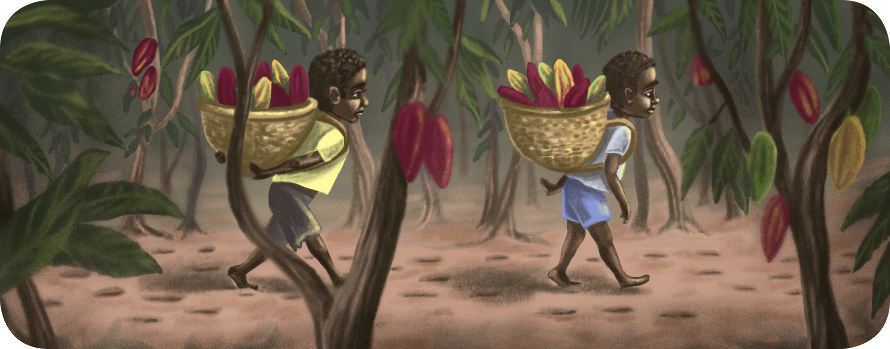 African cocoa plantation illustration