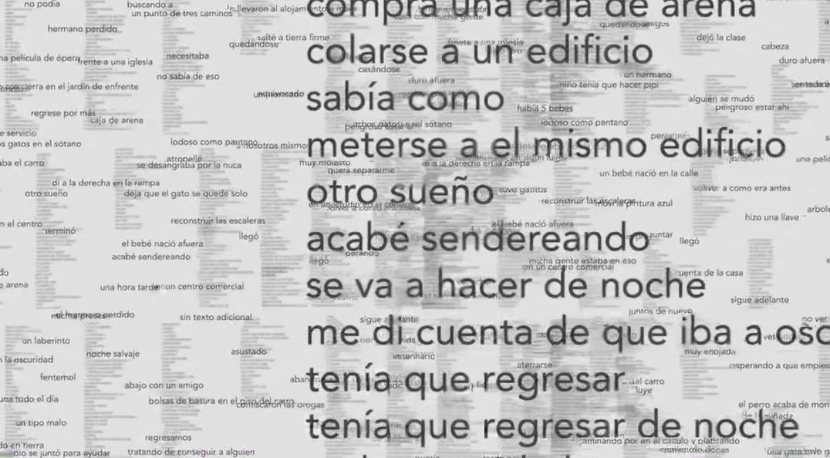 IMG_3966.jpeg