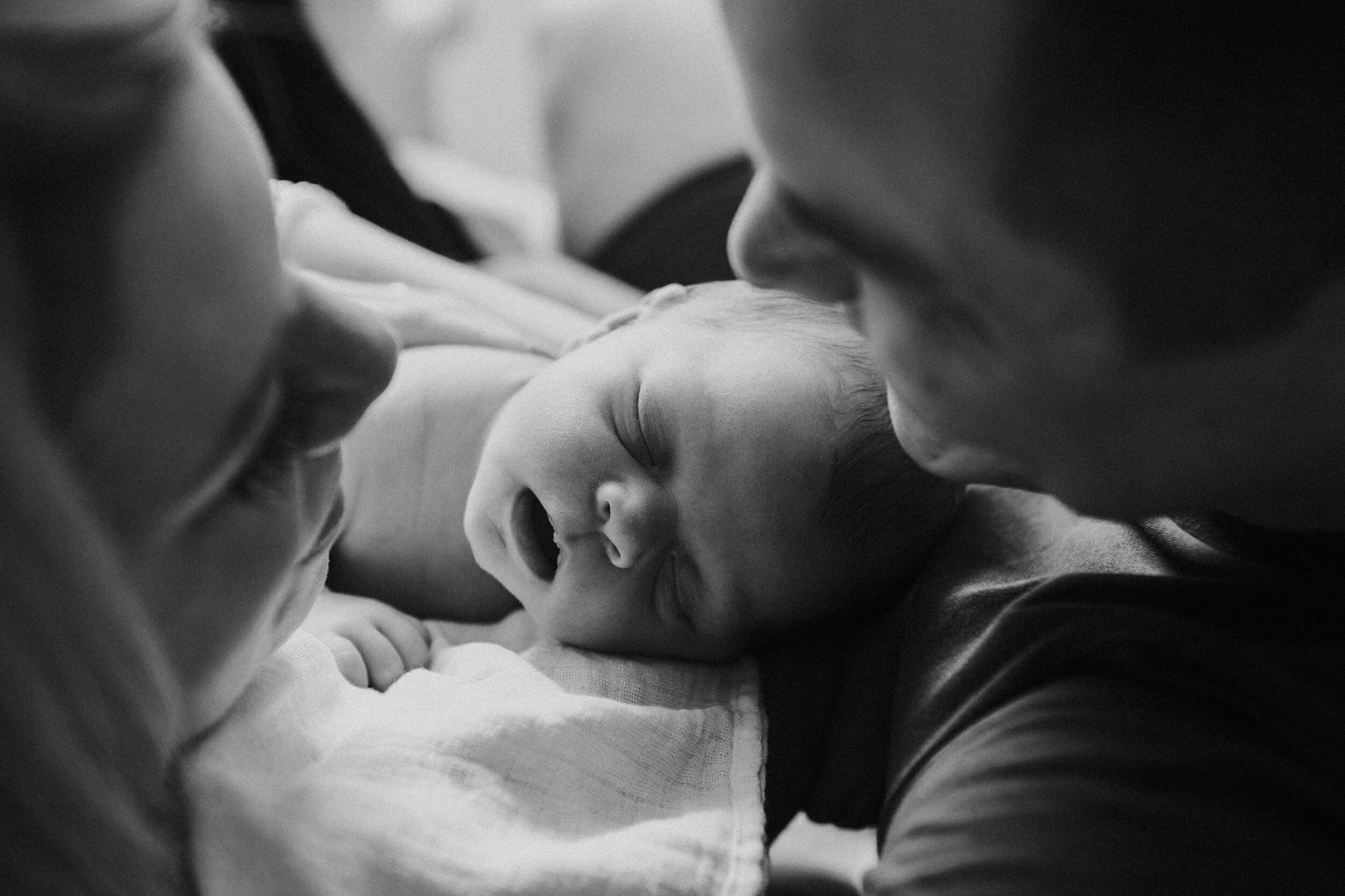 Newborn Photography in Devon