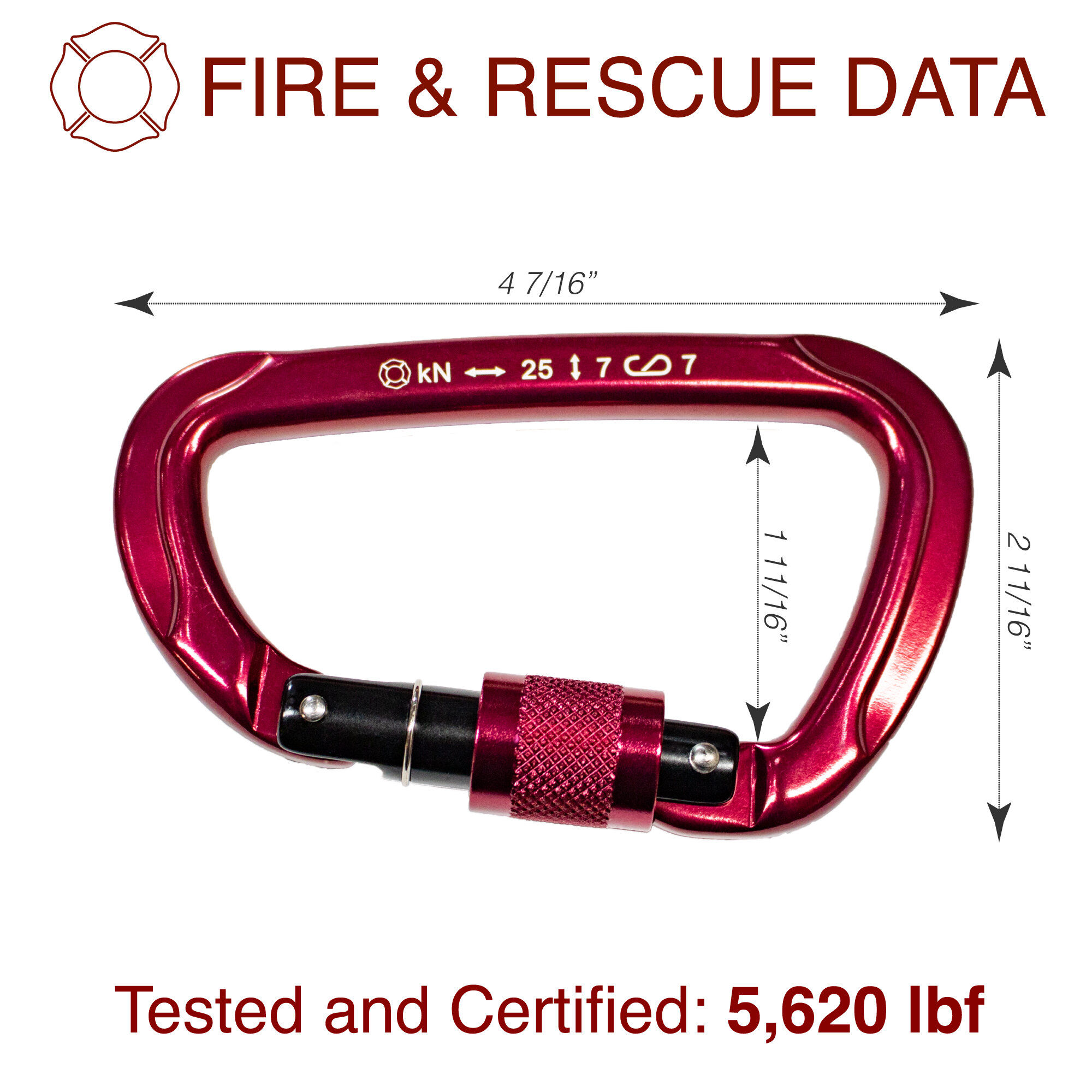 Data-Image.jpg