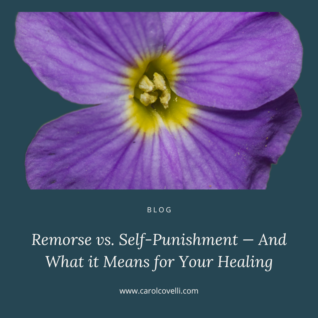 Remorse vs. Self-Punishment — And What it Means for Your Healing