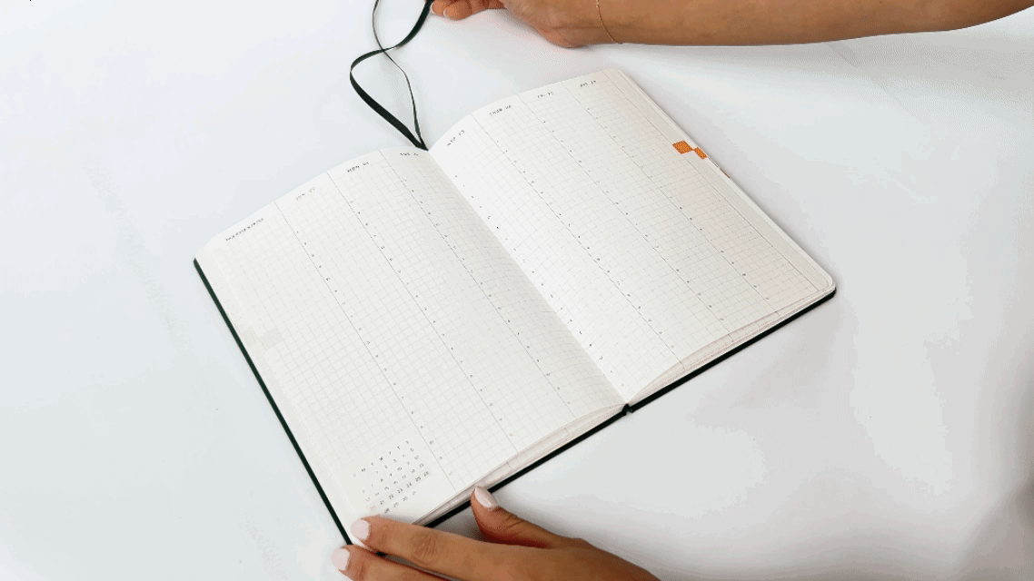 Two Bookmark Ribbons