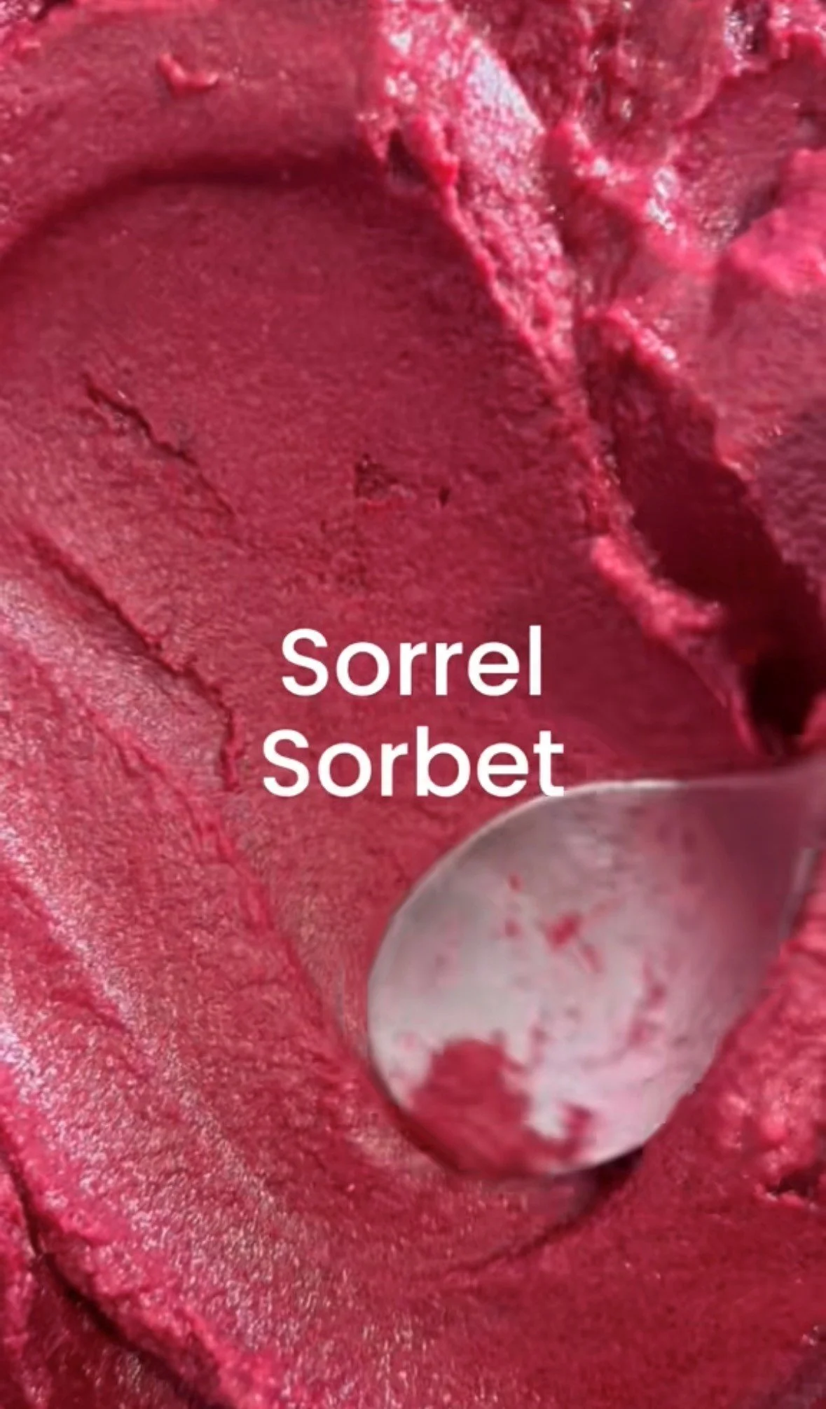 Ultimate berry sorrel sorbet
