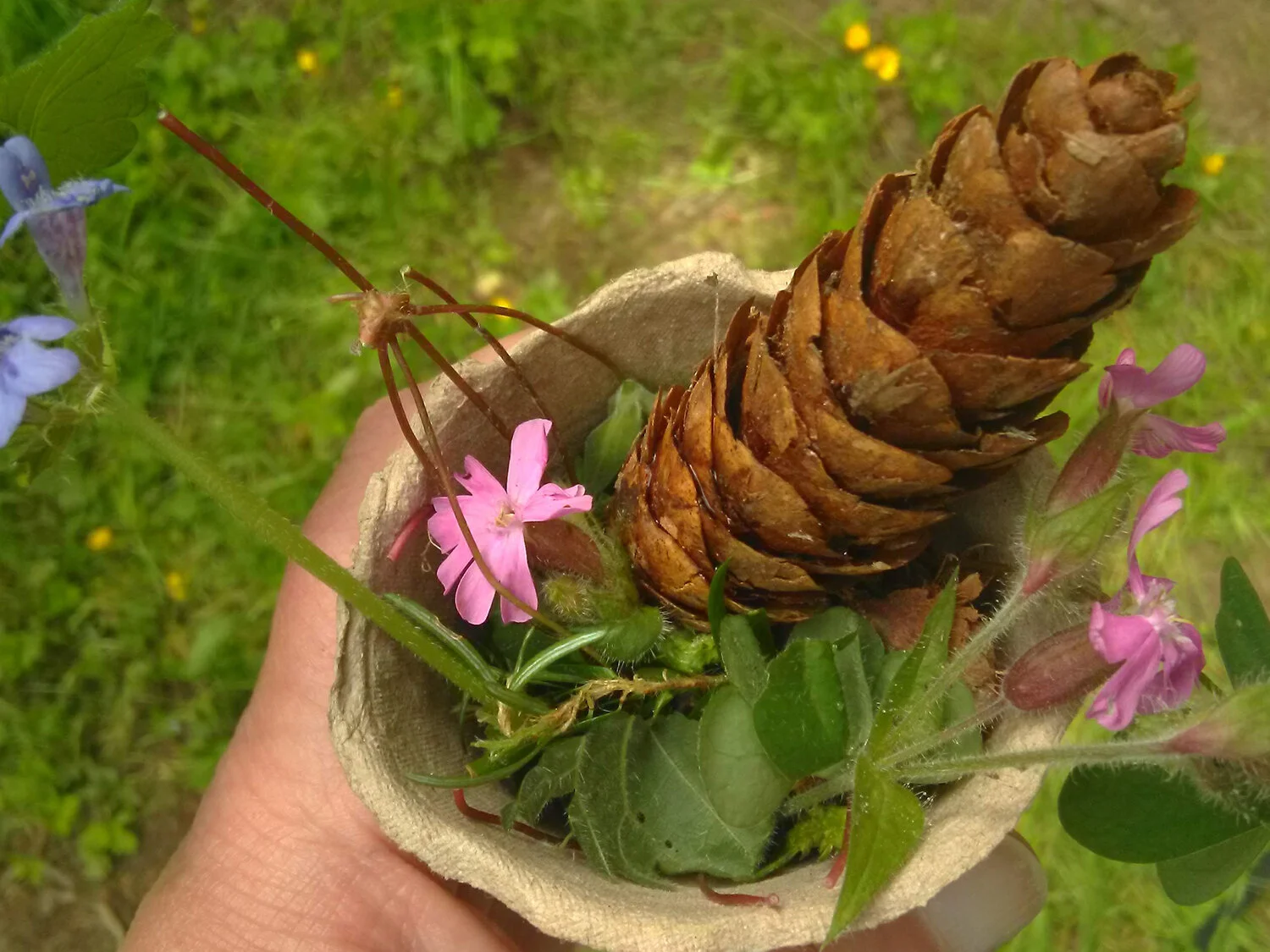 A cocktail of woodland aromas - everyone's unique connection to the world around them
