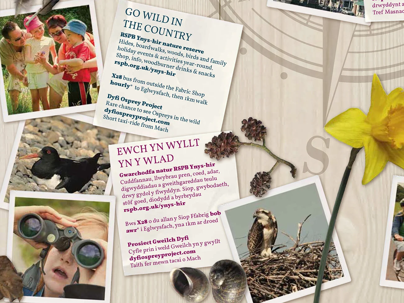 From Wales on Rails - Set Your Family Free. Days out by public transport in the stunning nature of Wales. Gathering bits and snaps for your scrap book. For Cambrian Railways Partnership working with Insight Illustration