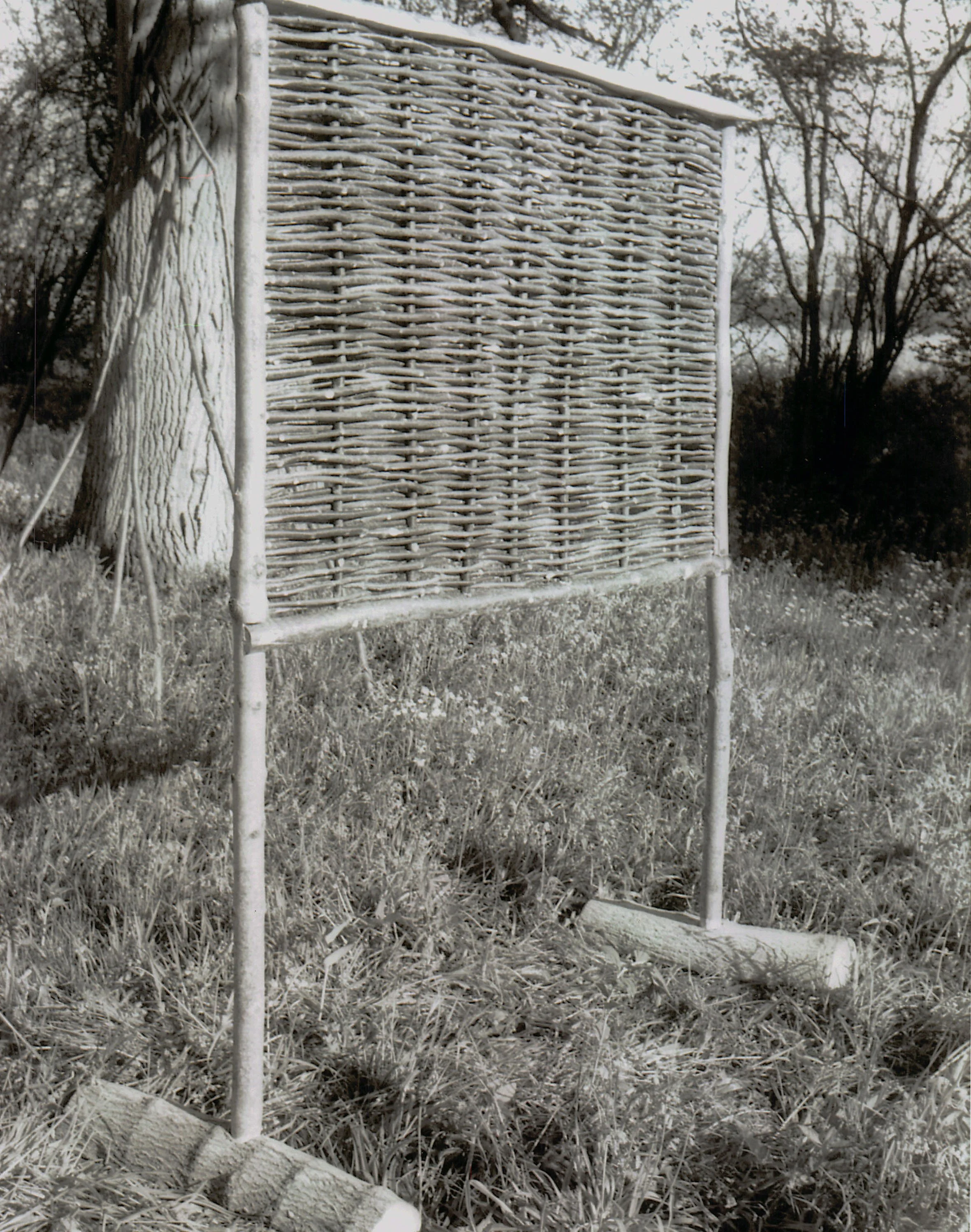 Noticeboard in hazel wattle and split green birch
