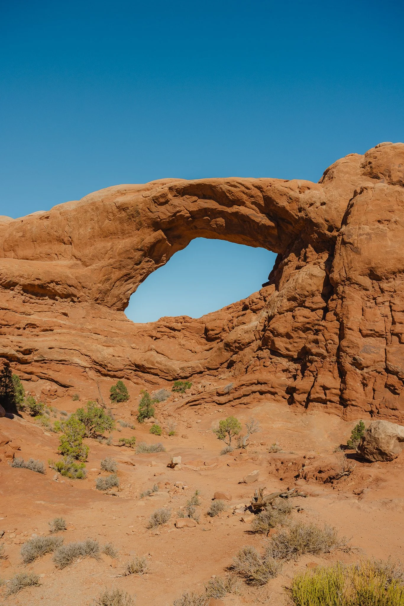 Viewpoint of The South Window