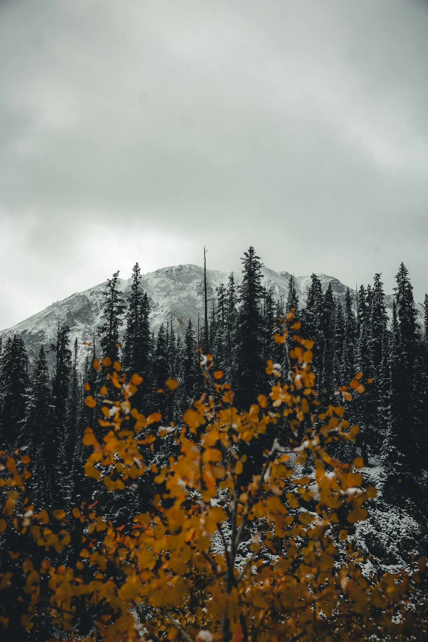 When fall and winter collide
