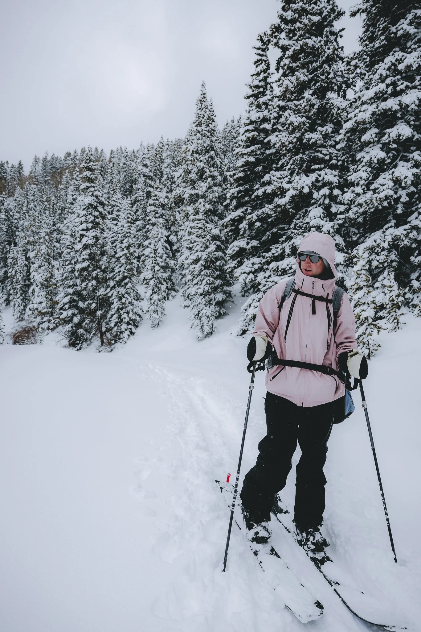 A Beginners Guide to your First Back country Hut Trip
