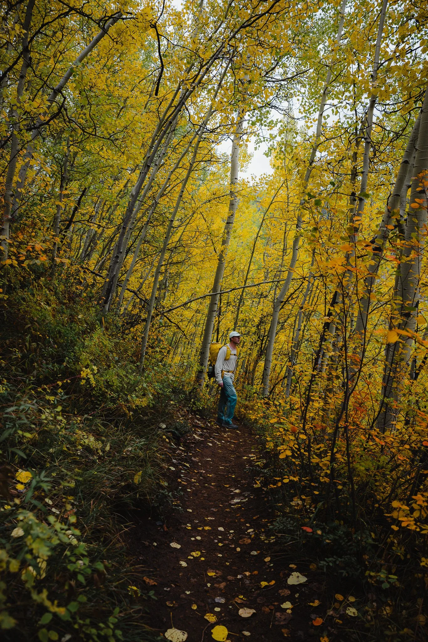 Aspen Colorado, Hiking to the American Lake Trail in the Fall