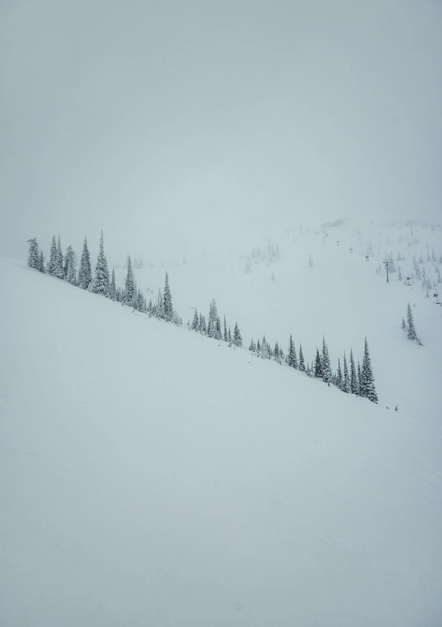 Vast bowls and terrain at Whitefish