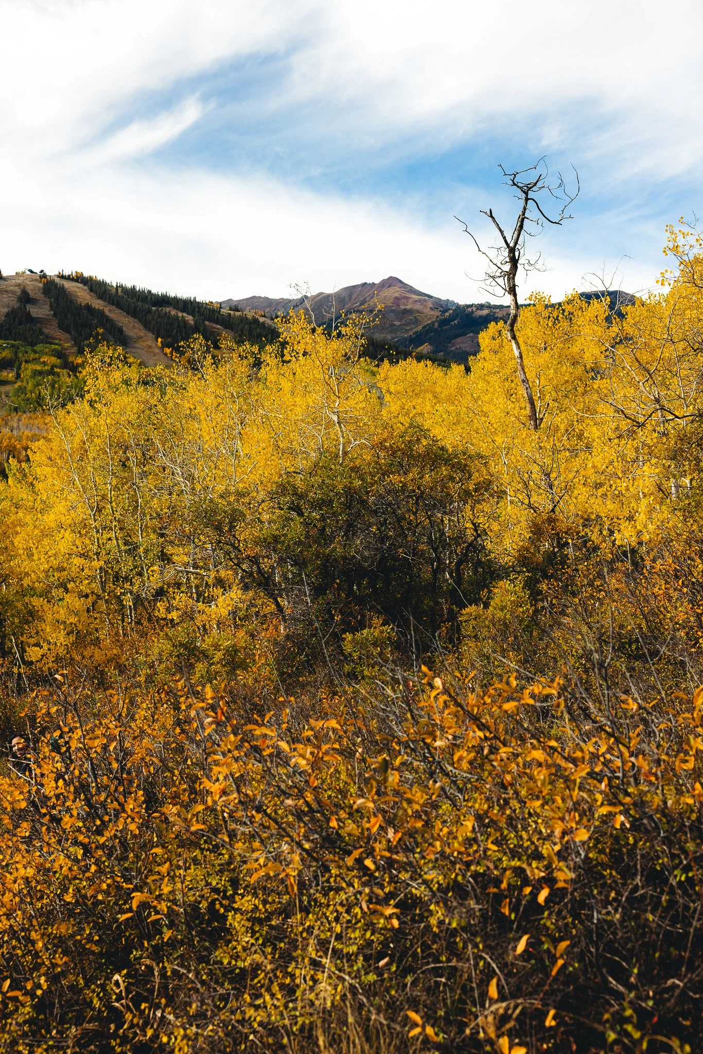 Beautiful fall colors