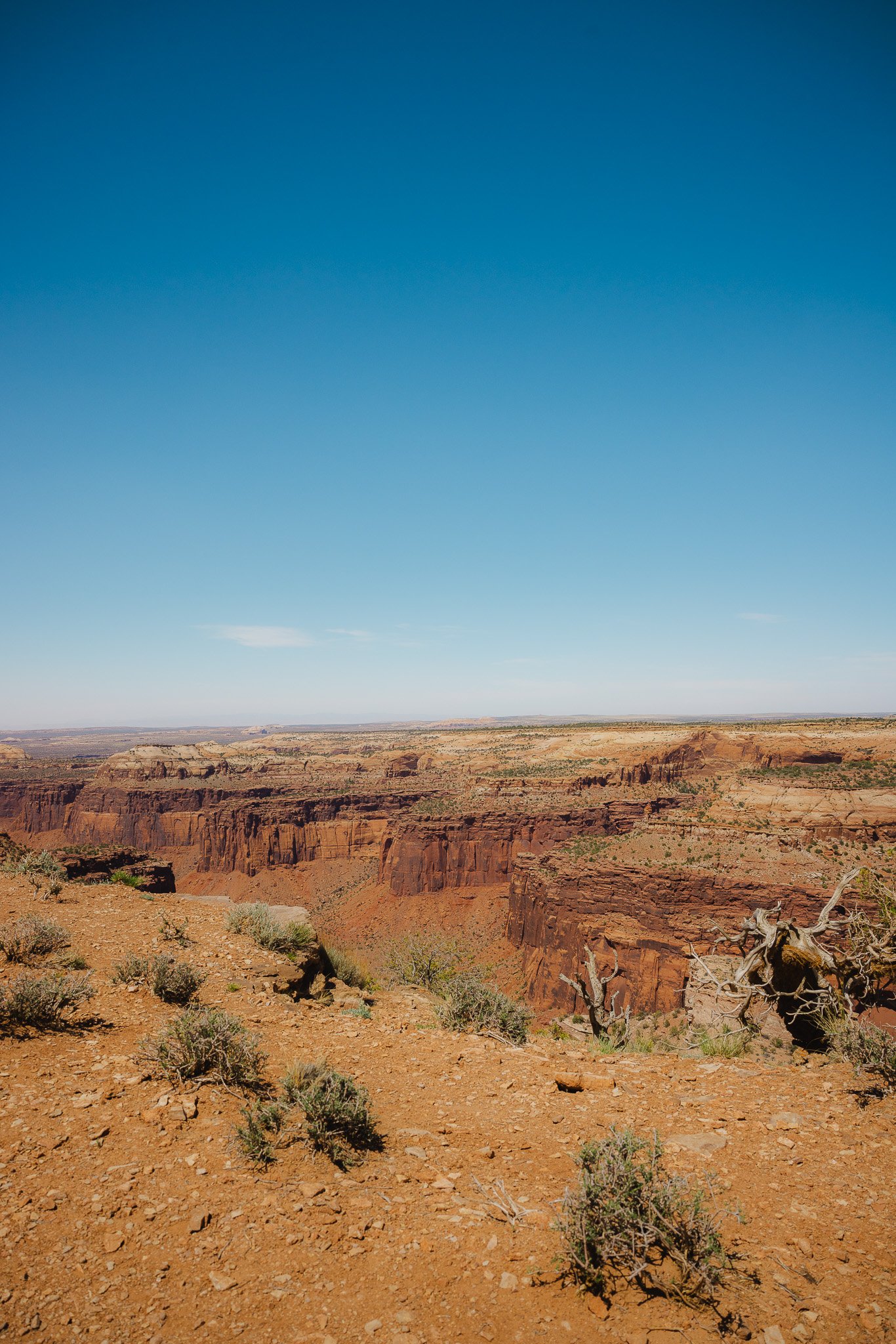 Canyon rim views below