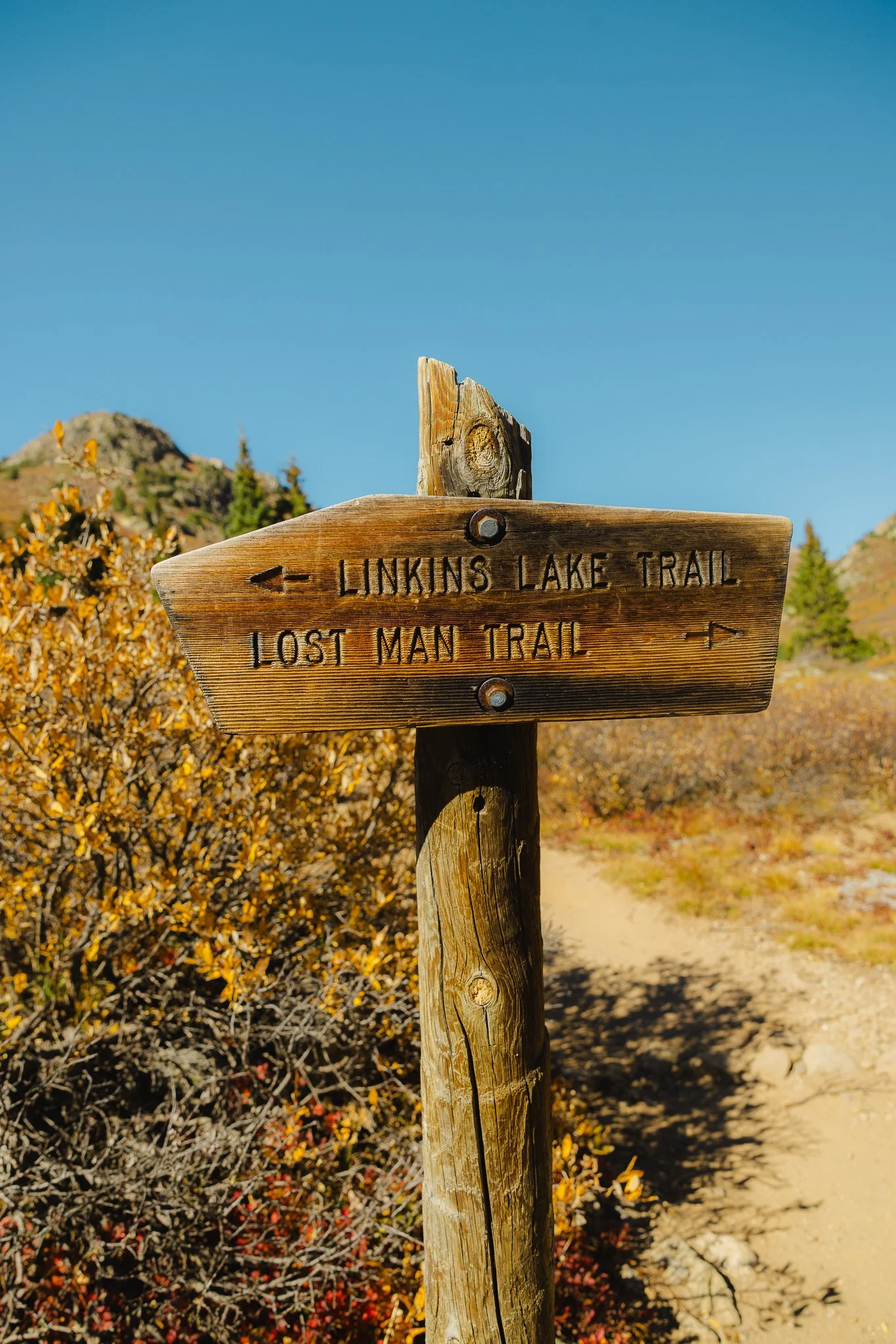 Follow the trail sign