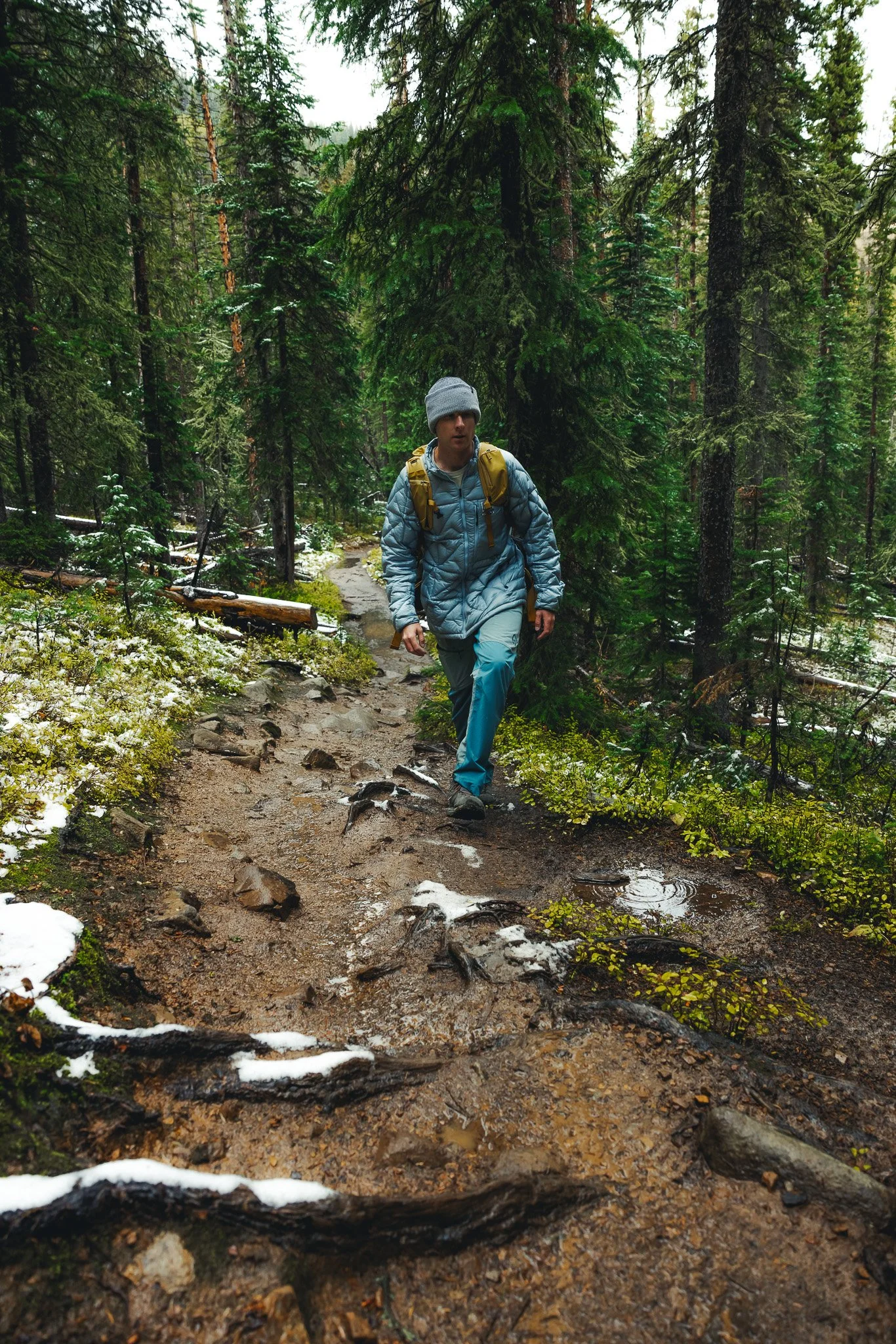 Hiking through Colorado pine trees