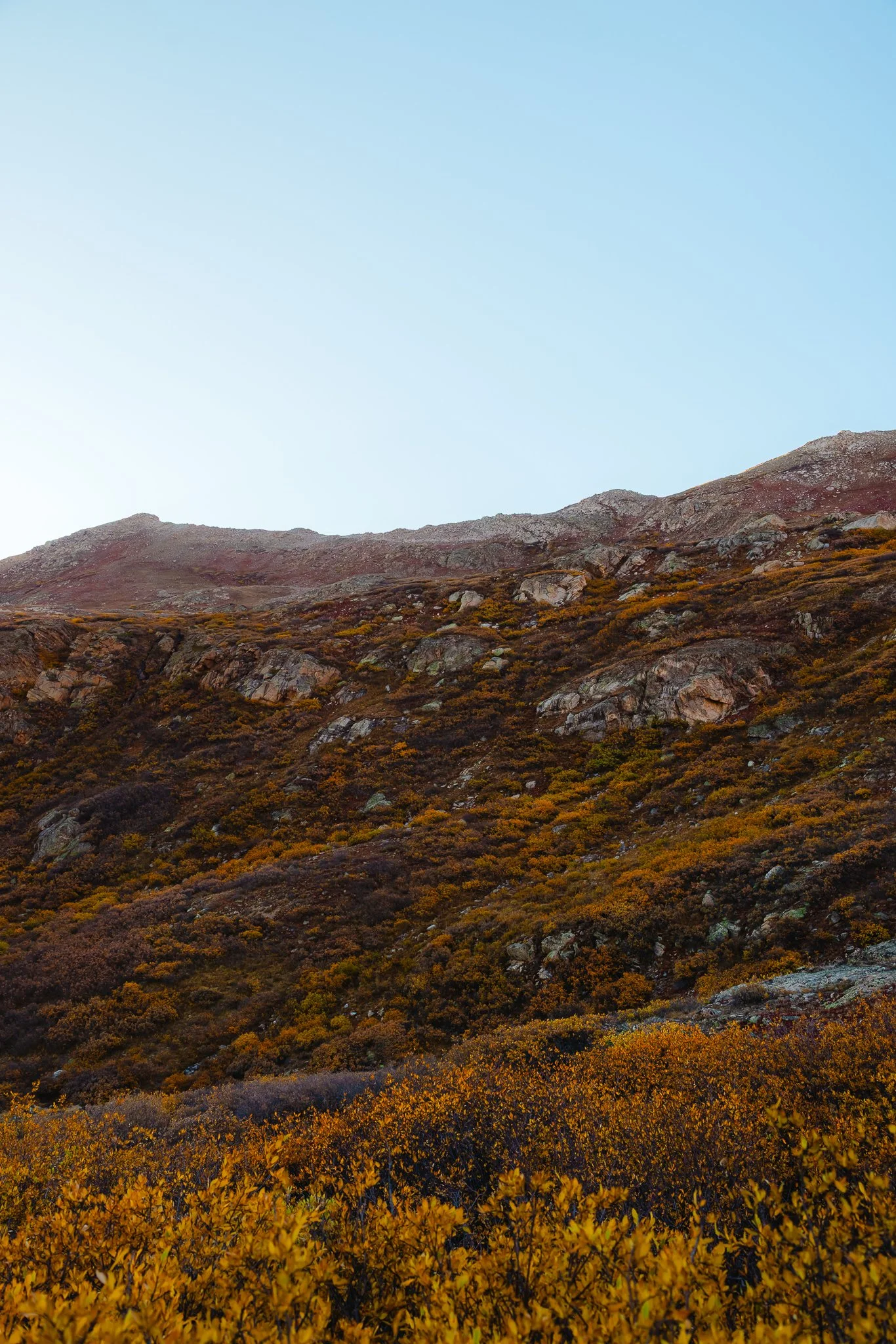beautiful fall colors
