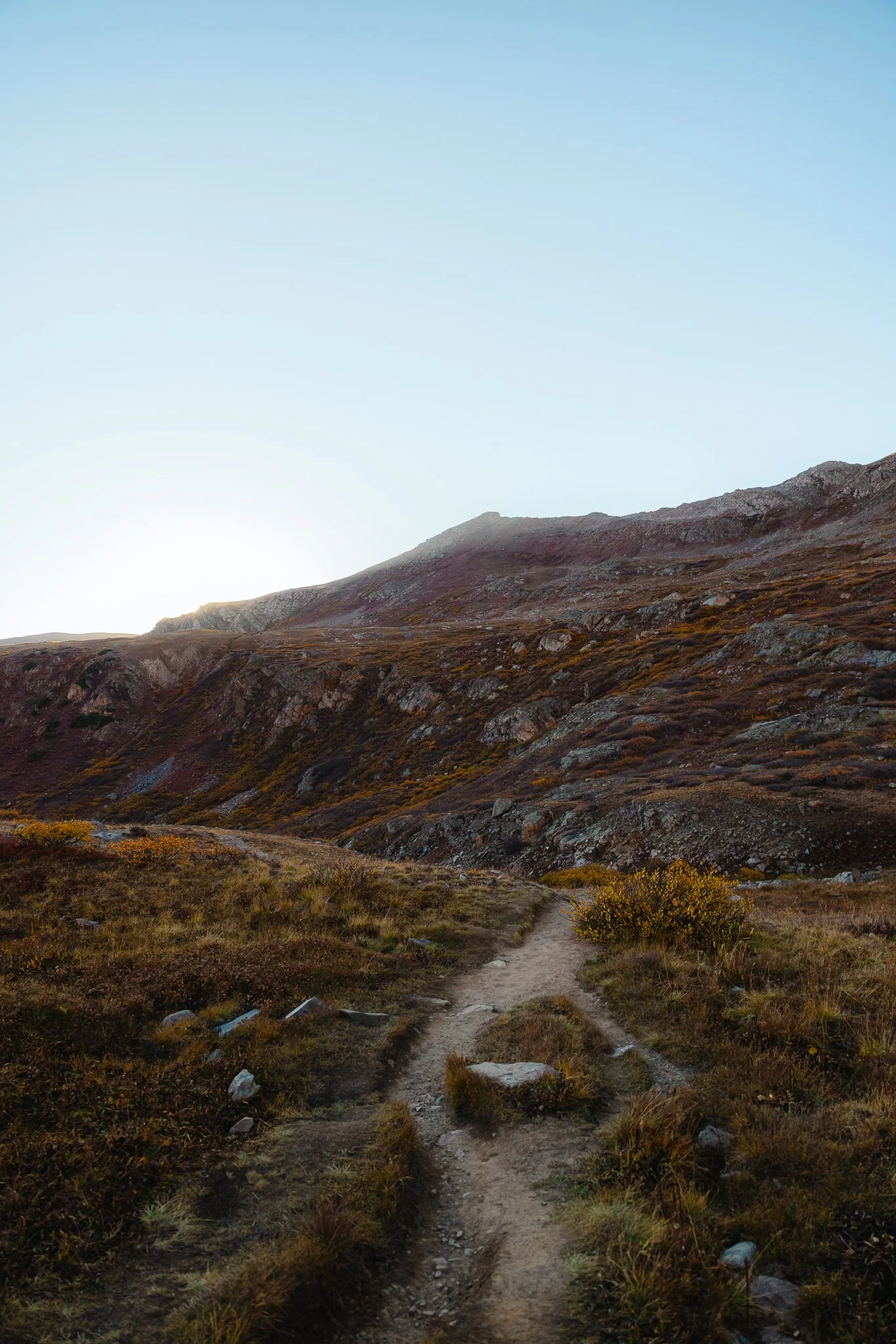 Golden hour last light
