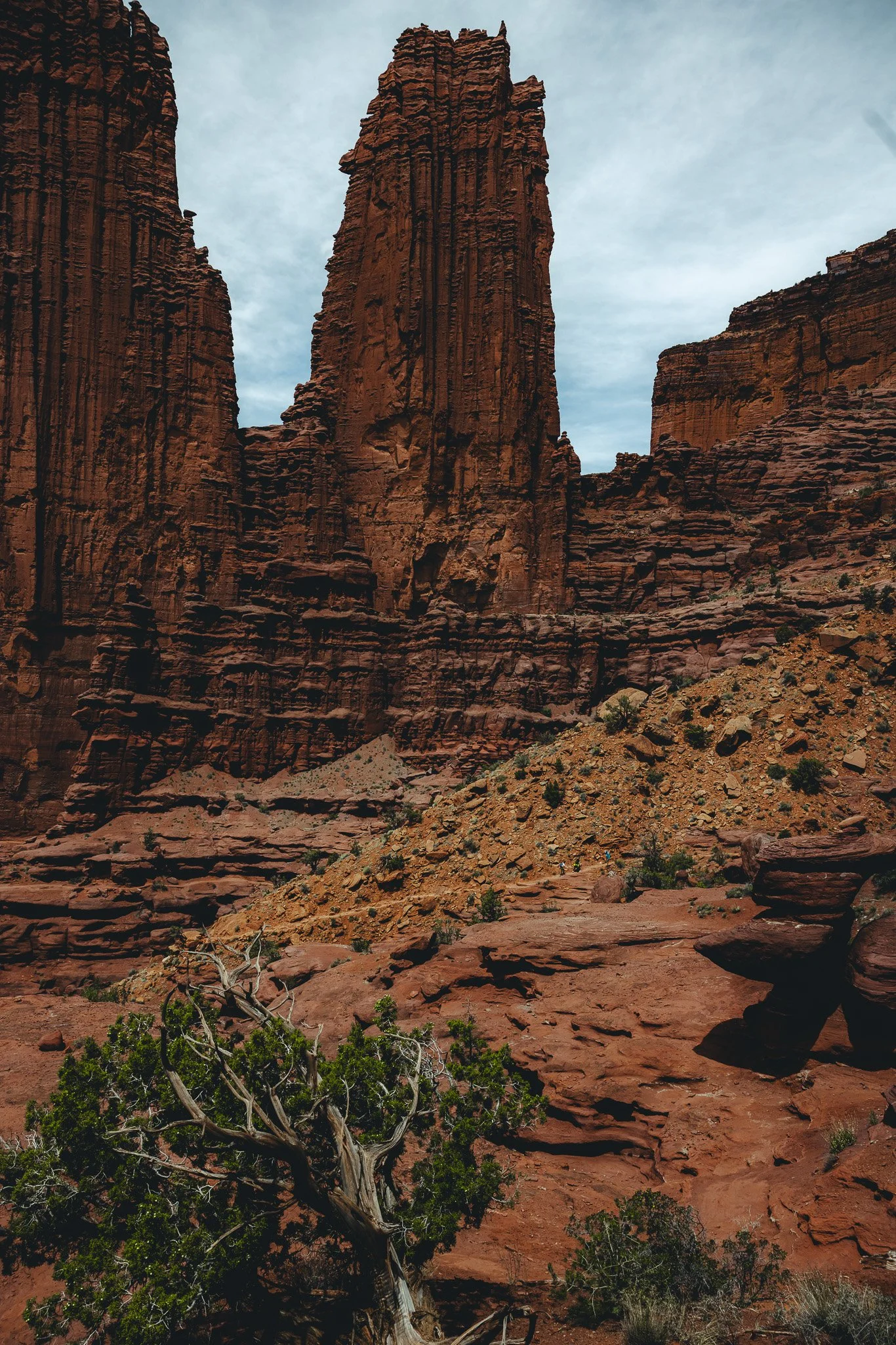 Huge canyon towers