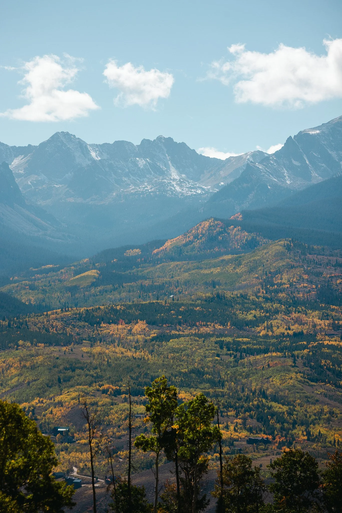 Fall colors in Colorado