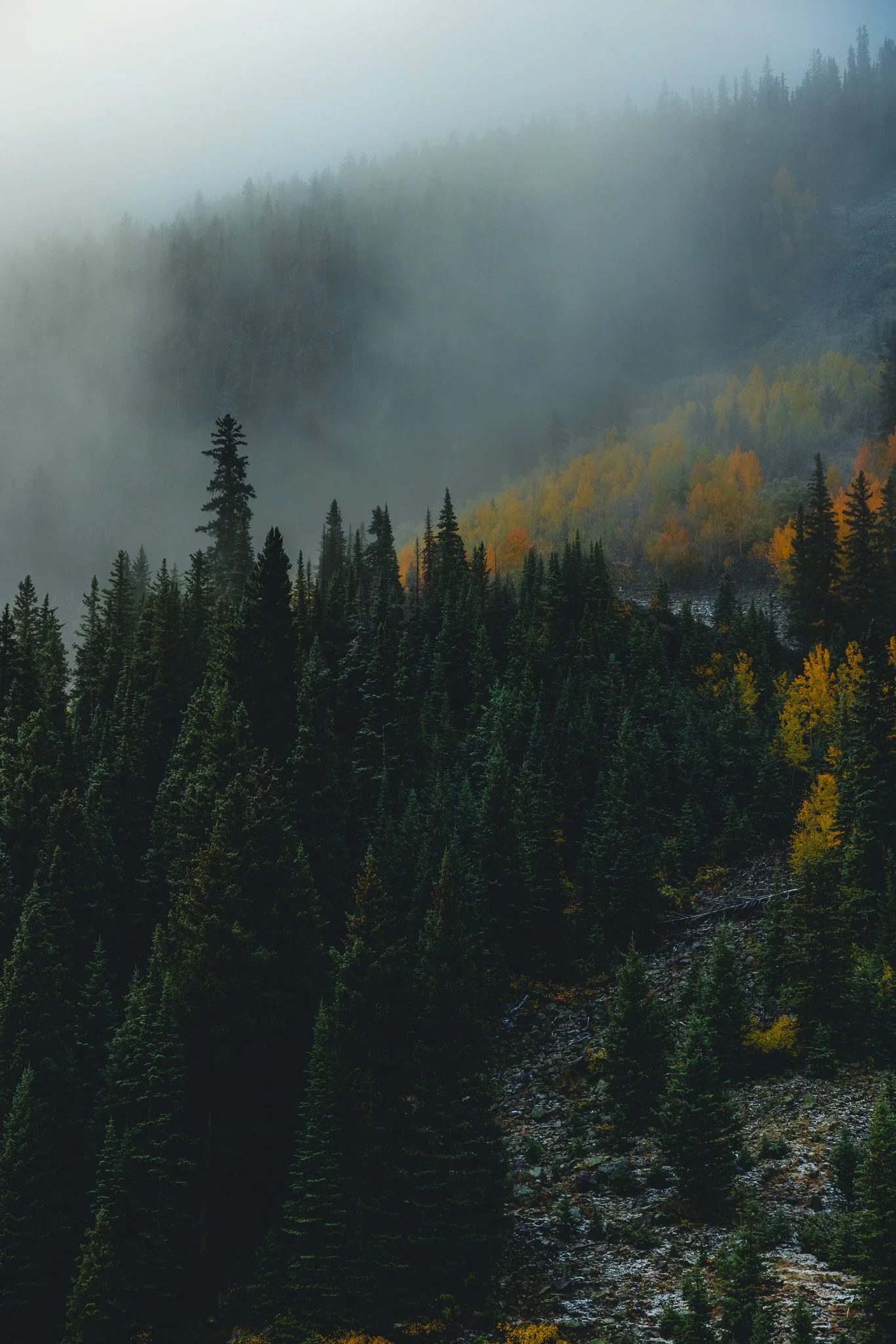 A moody fall day in Aspen