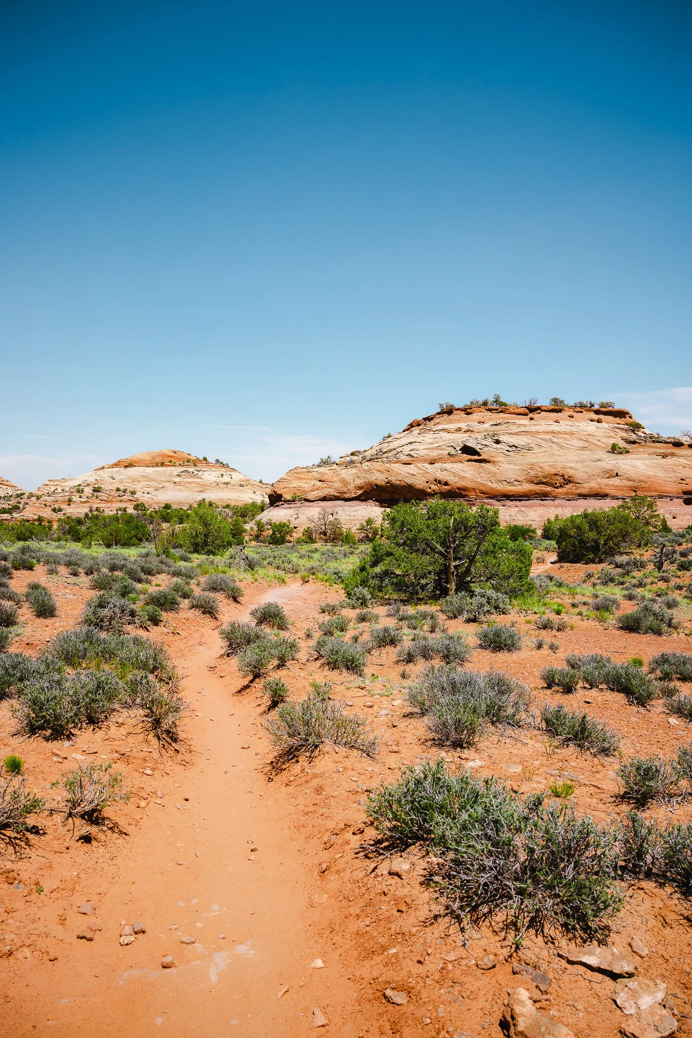 A dry desert trail to start