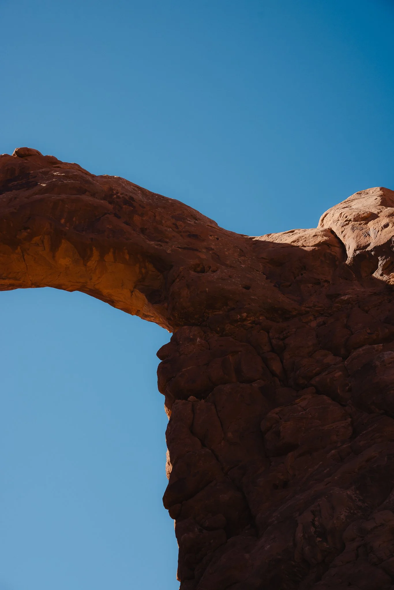 Looking up at The Windows Arch